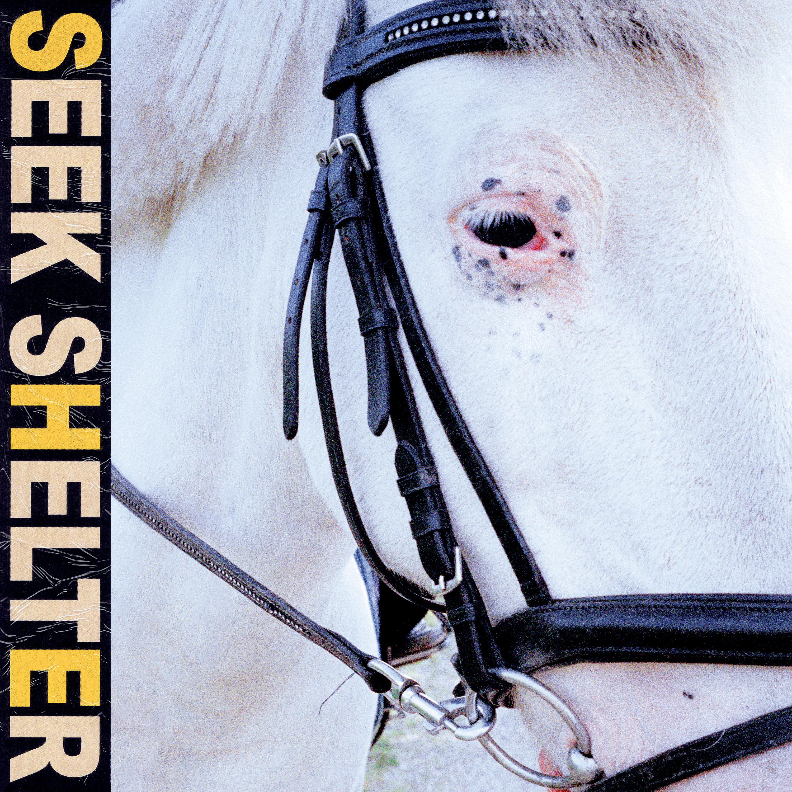 Постер альбома Seek Shelter