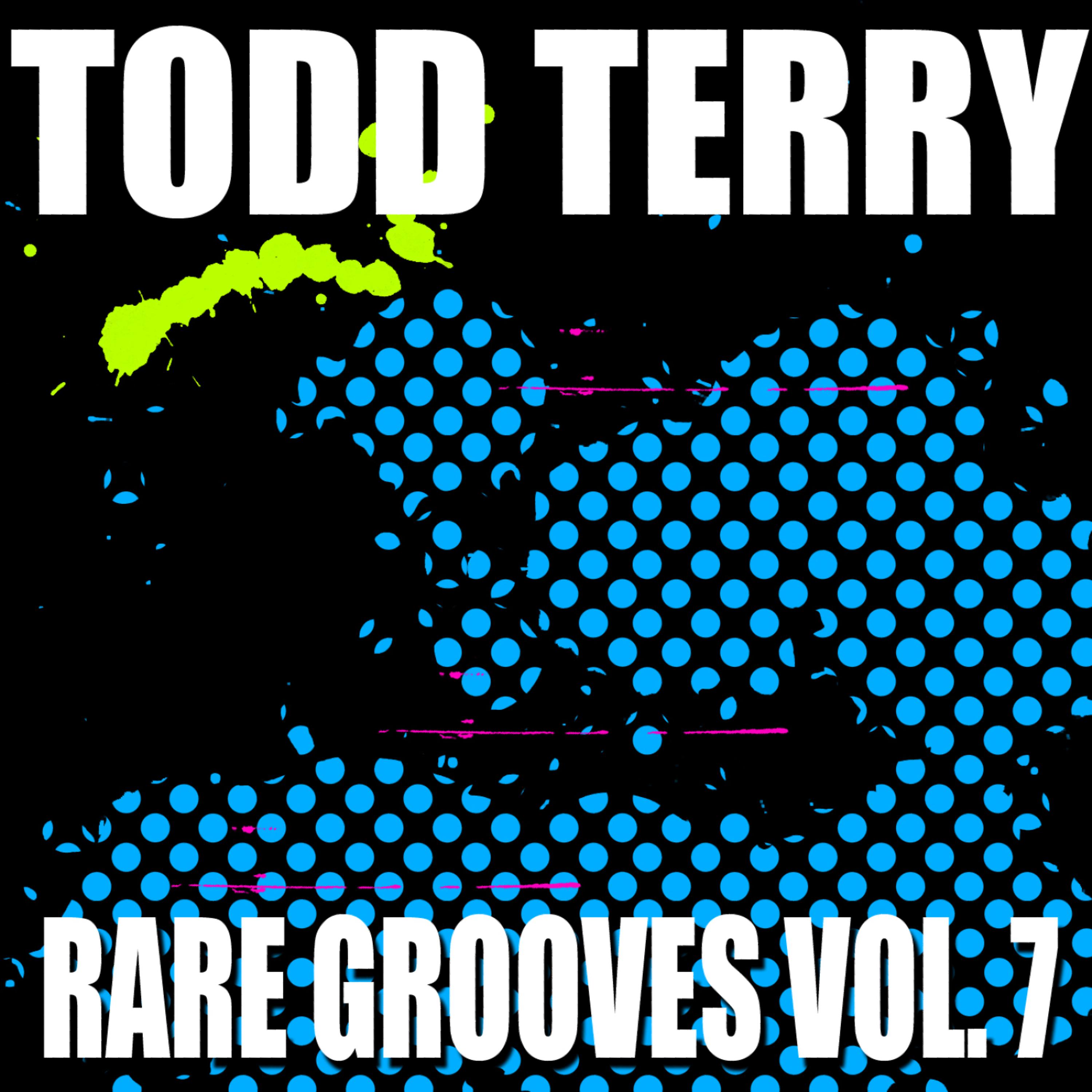 Постер альбома Todd Terry's Rare Grooves VOL 7