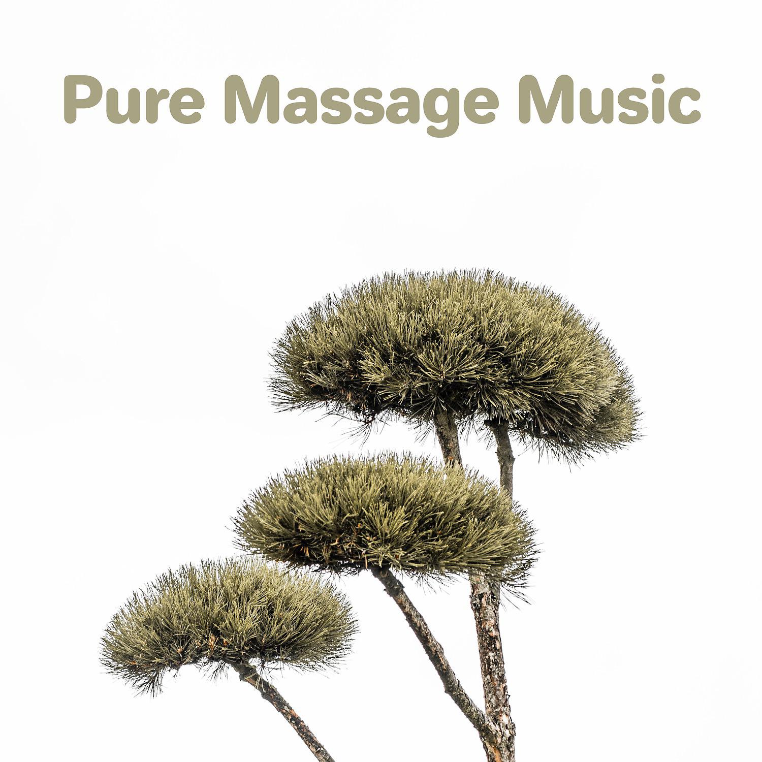 Постер альбома Pure Massage Music