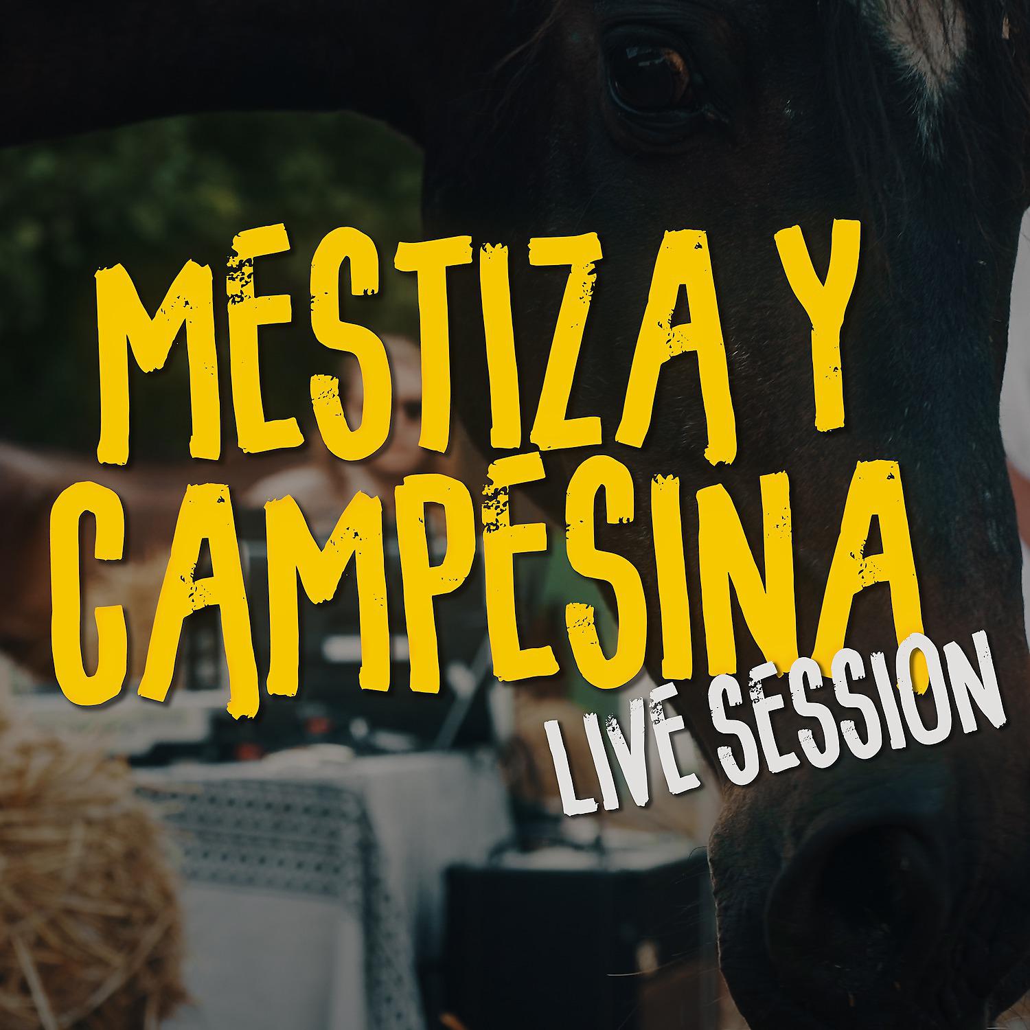 Постер альбома Mestiza y Campesina