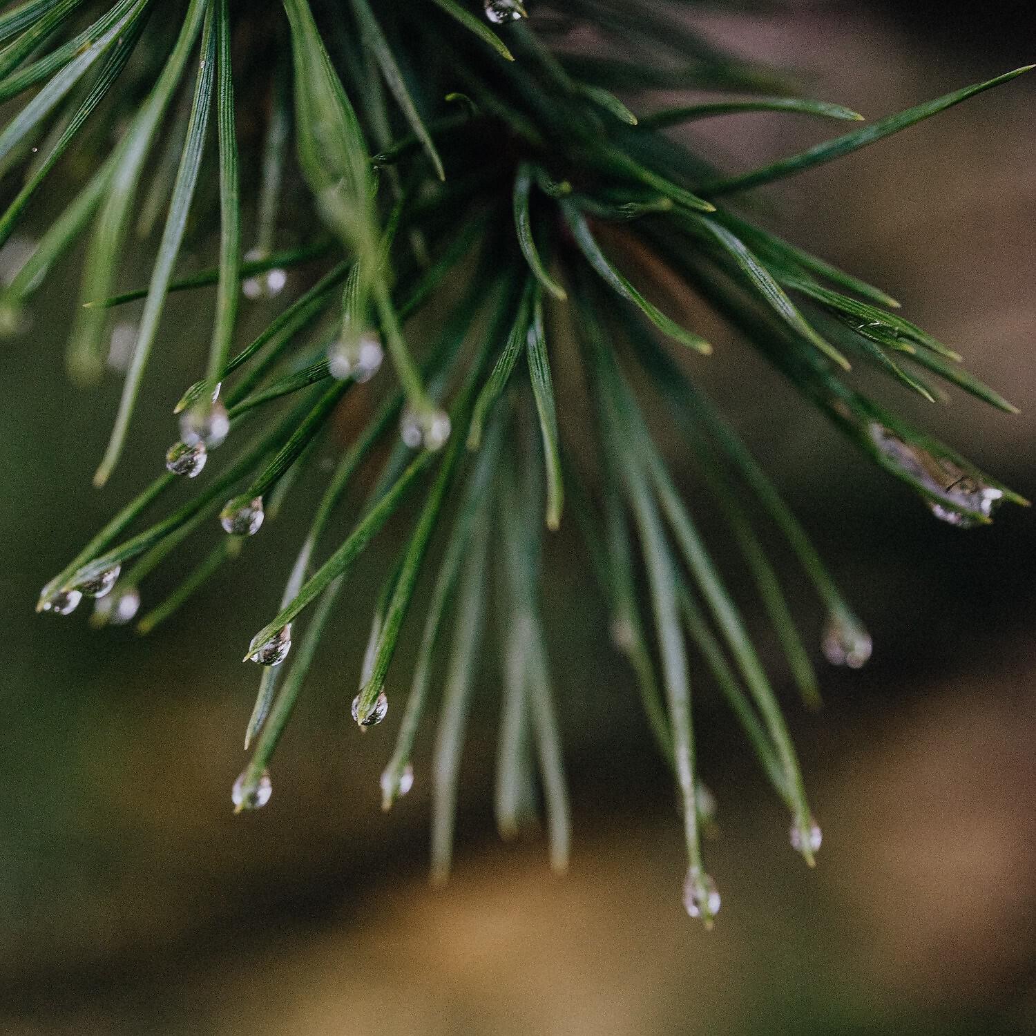 Rain, Thunder And Lightning Storm Sounds - High Frequency of Rain on Sidewalk in City