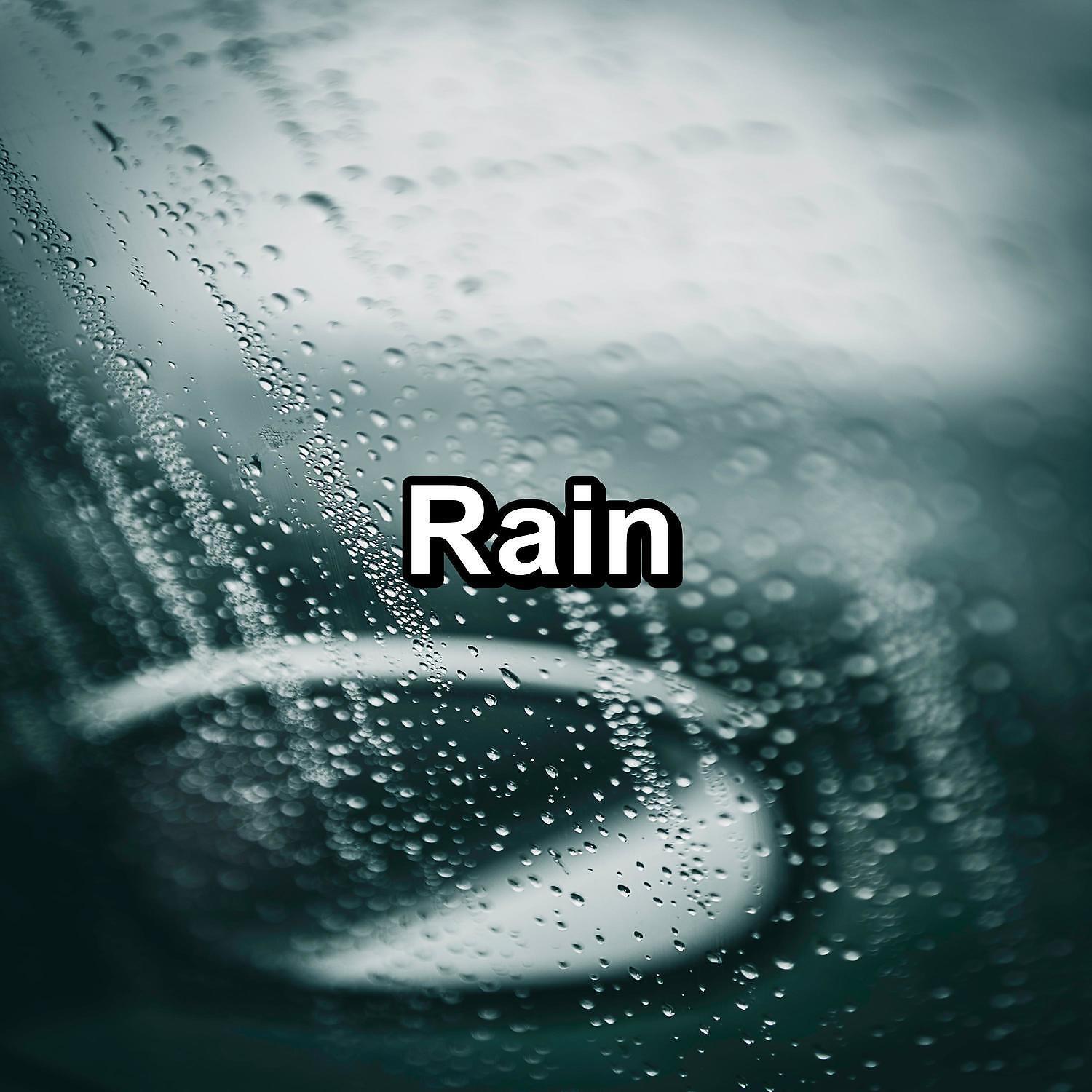 The Rain Library - Moderate Rain in the Rainy Forest with Sleeping Music