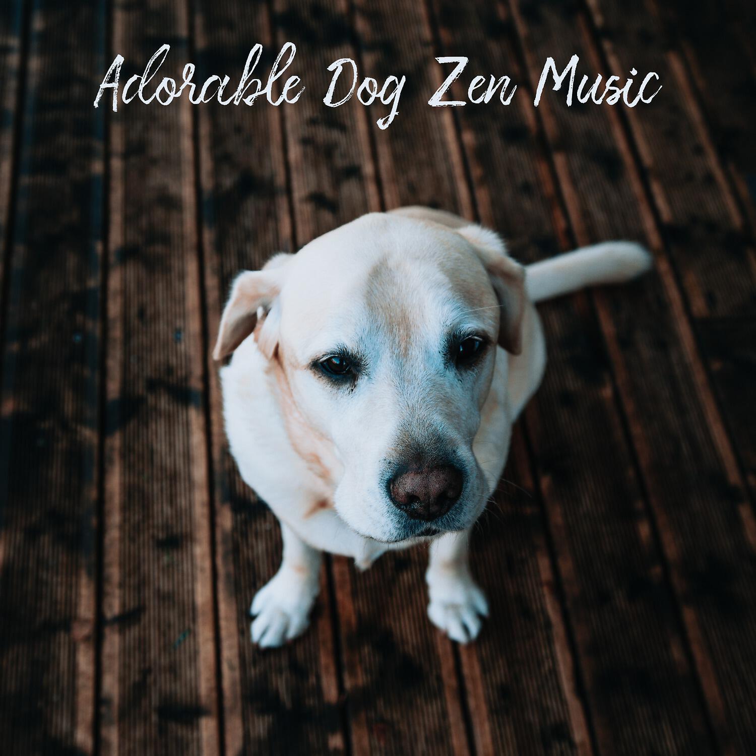 Dog Music - Musing