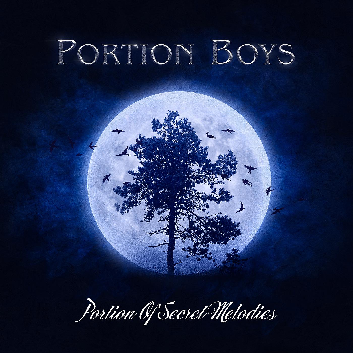 Постер альбома Portion Of Secret Melodies