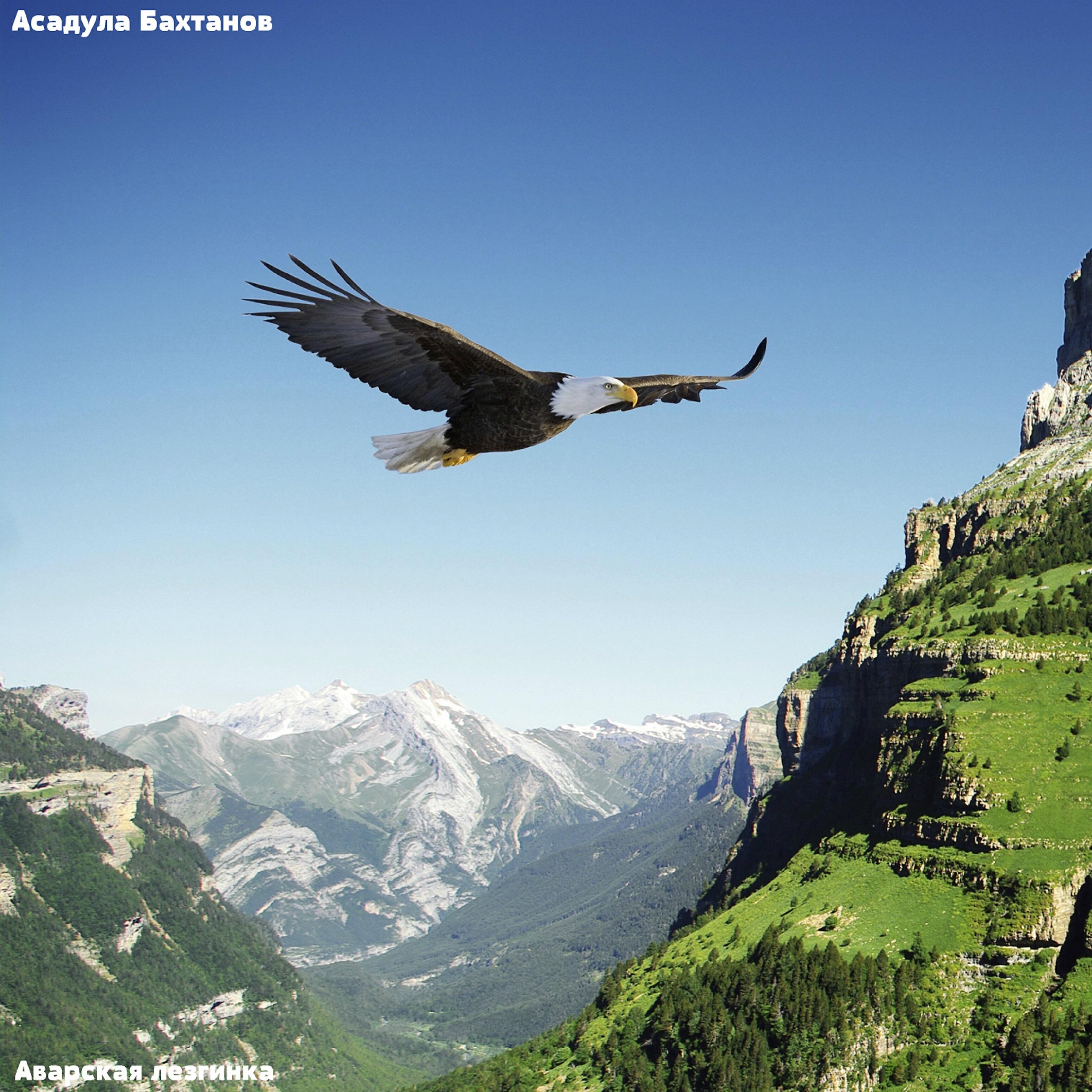 Асадула Бахтанов - Ты и я