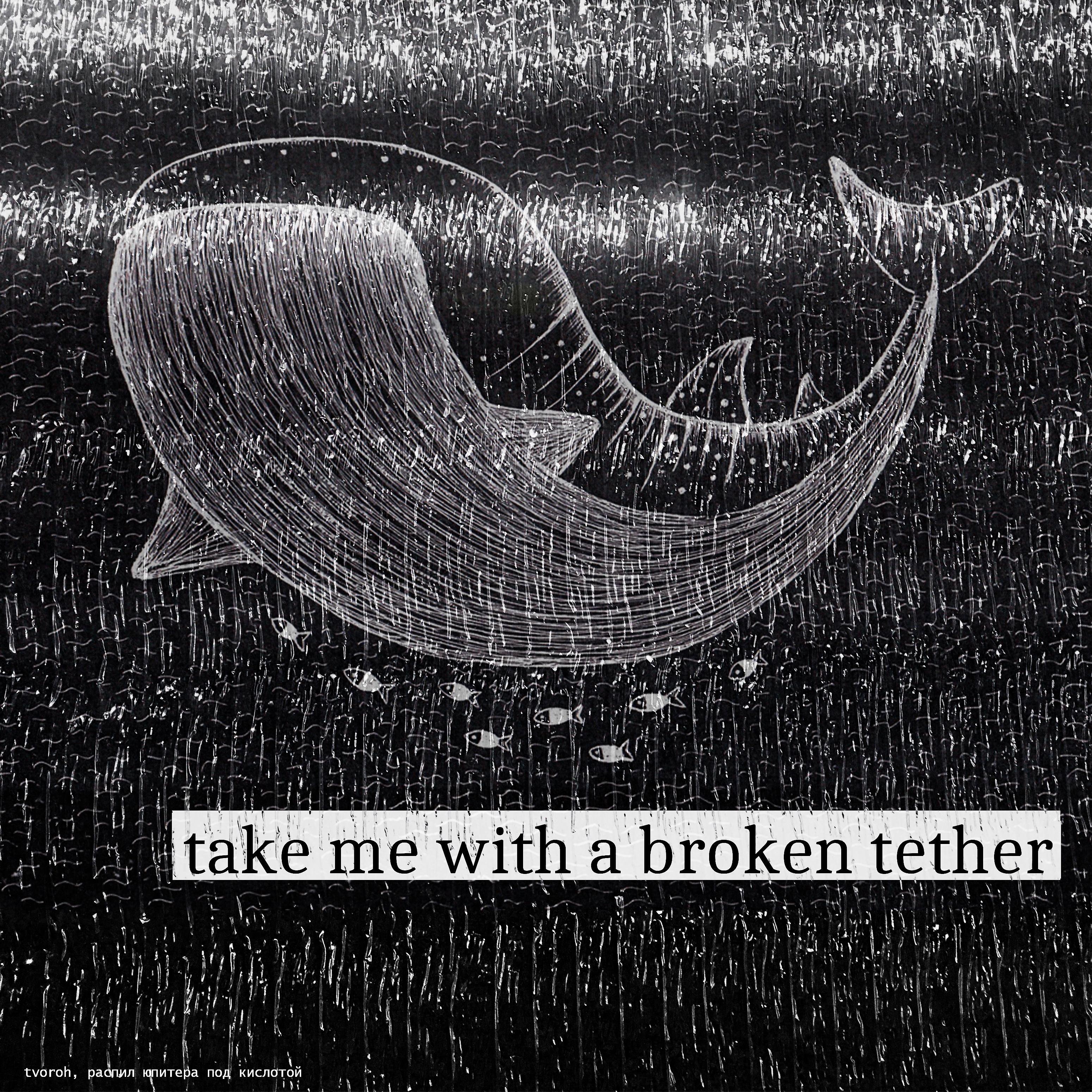 Постер альбома Take Me with a Broken Tether