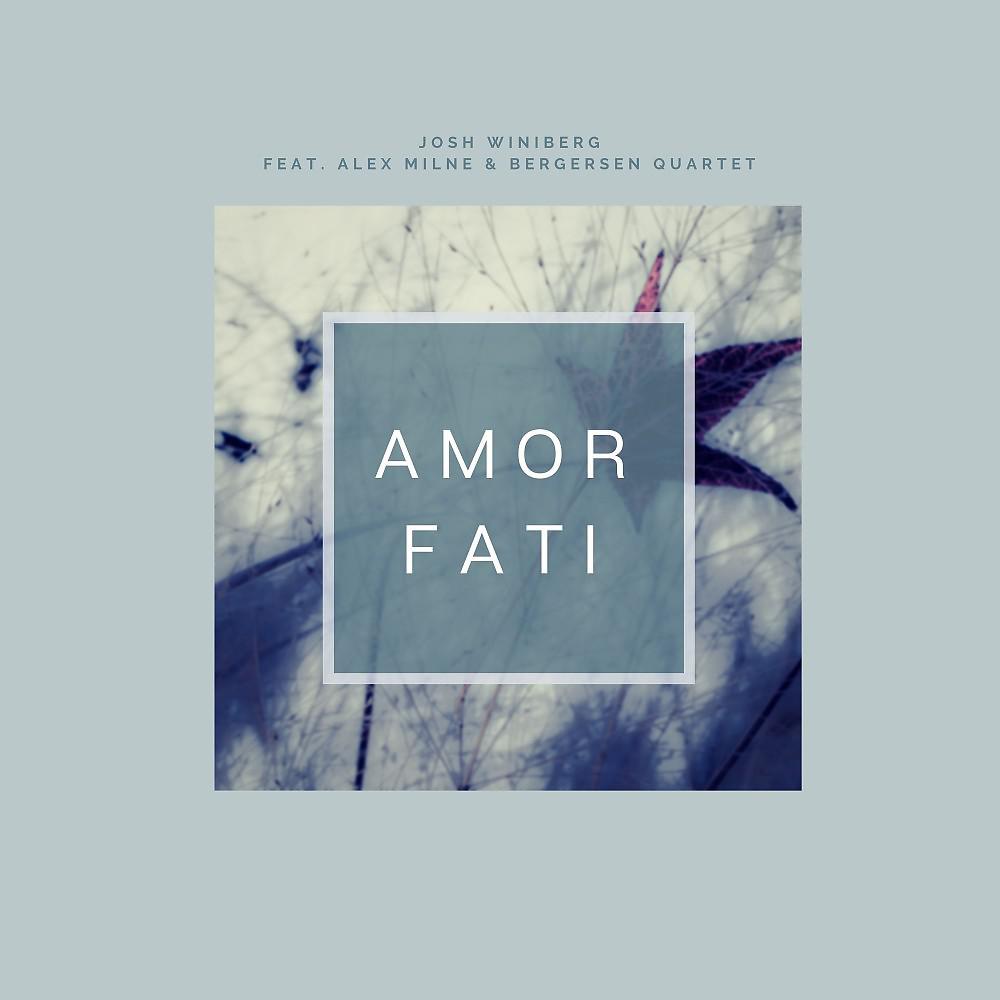 Постер альбома Amor Fati (Radio Edit)