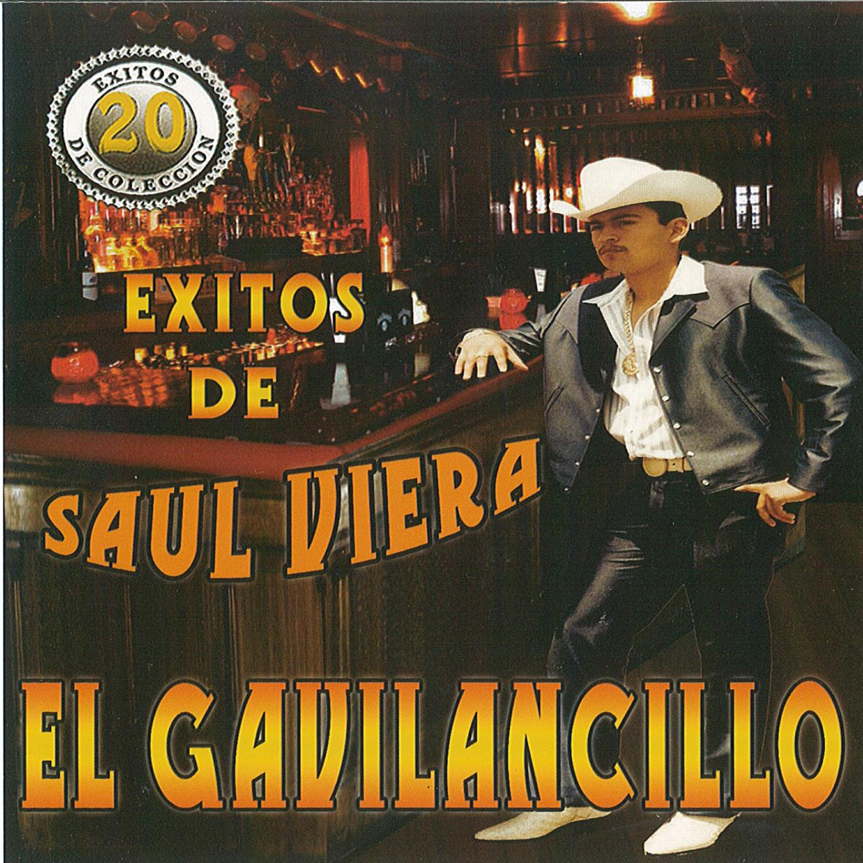 Saul Viera El Gavilancillo - Wasted Days And Wasted Nights