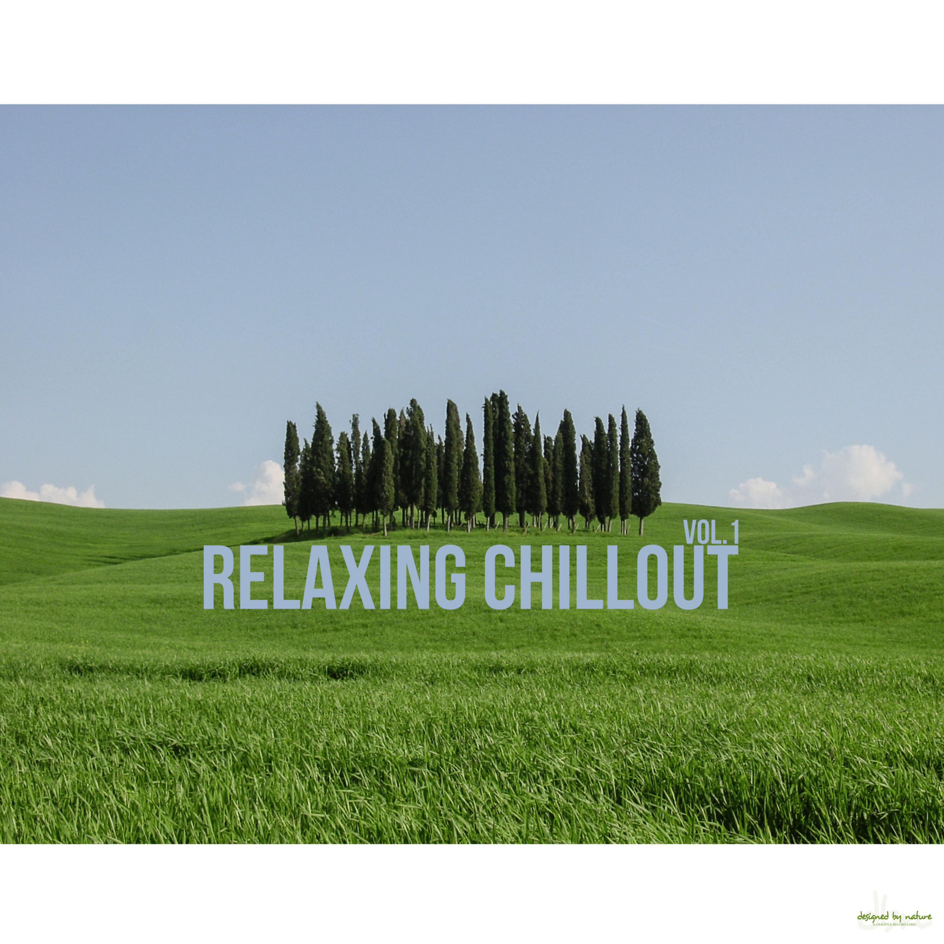 Постер альбома Relaxing Chillout Vol.1