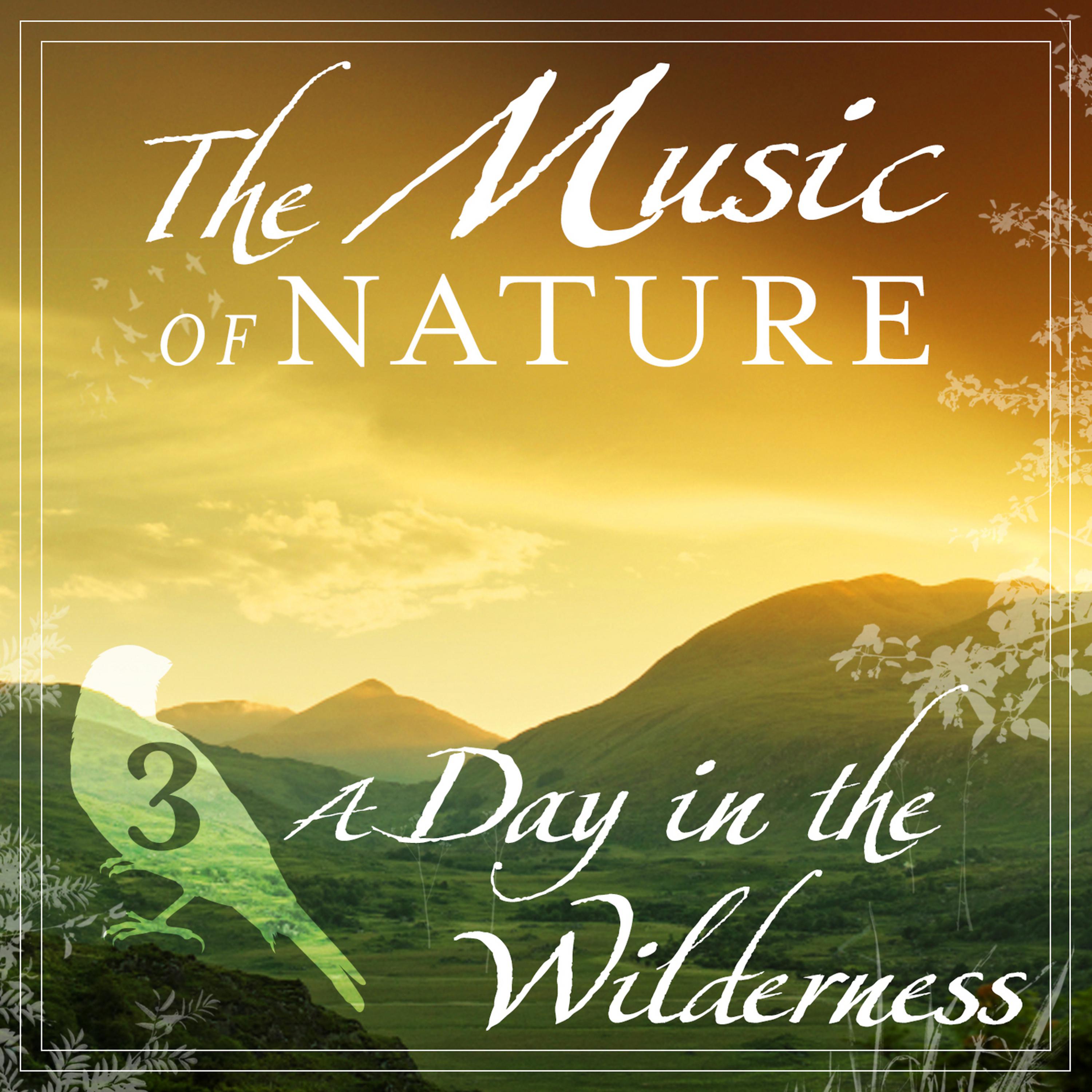 Постер альбома The Music of Nature - A Day in the Wilderness, Vol. 3