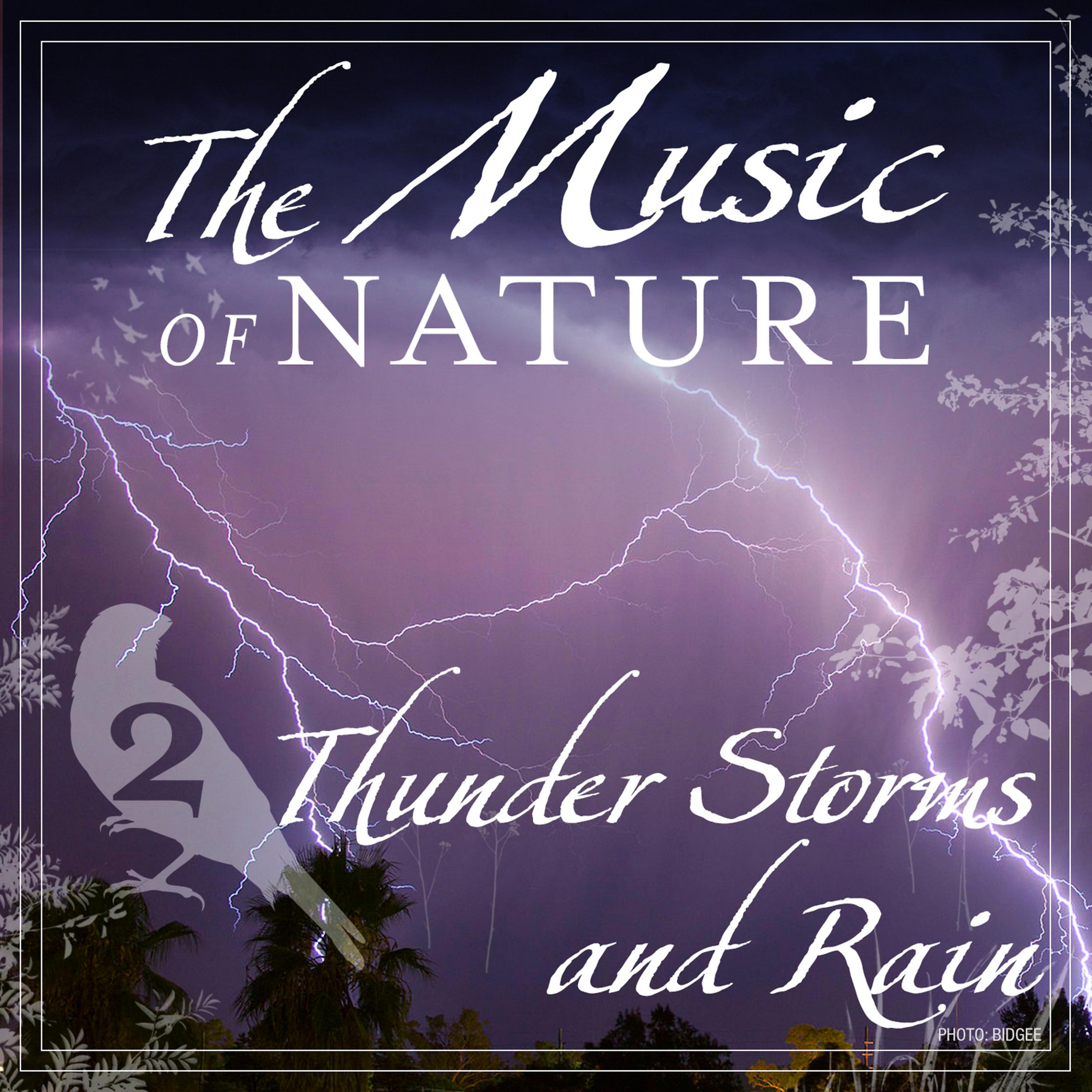 Постер альбома The Music of Nature - Thunderstorms and Rain, Vol. 2