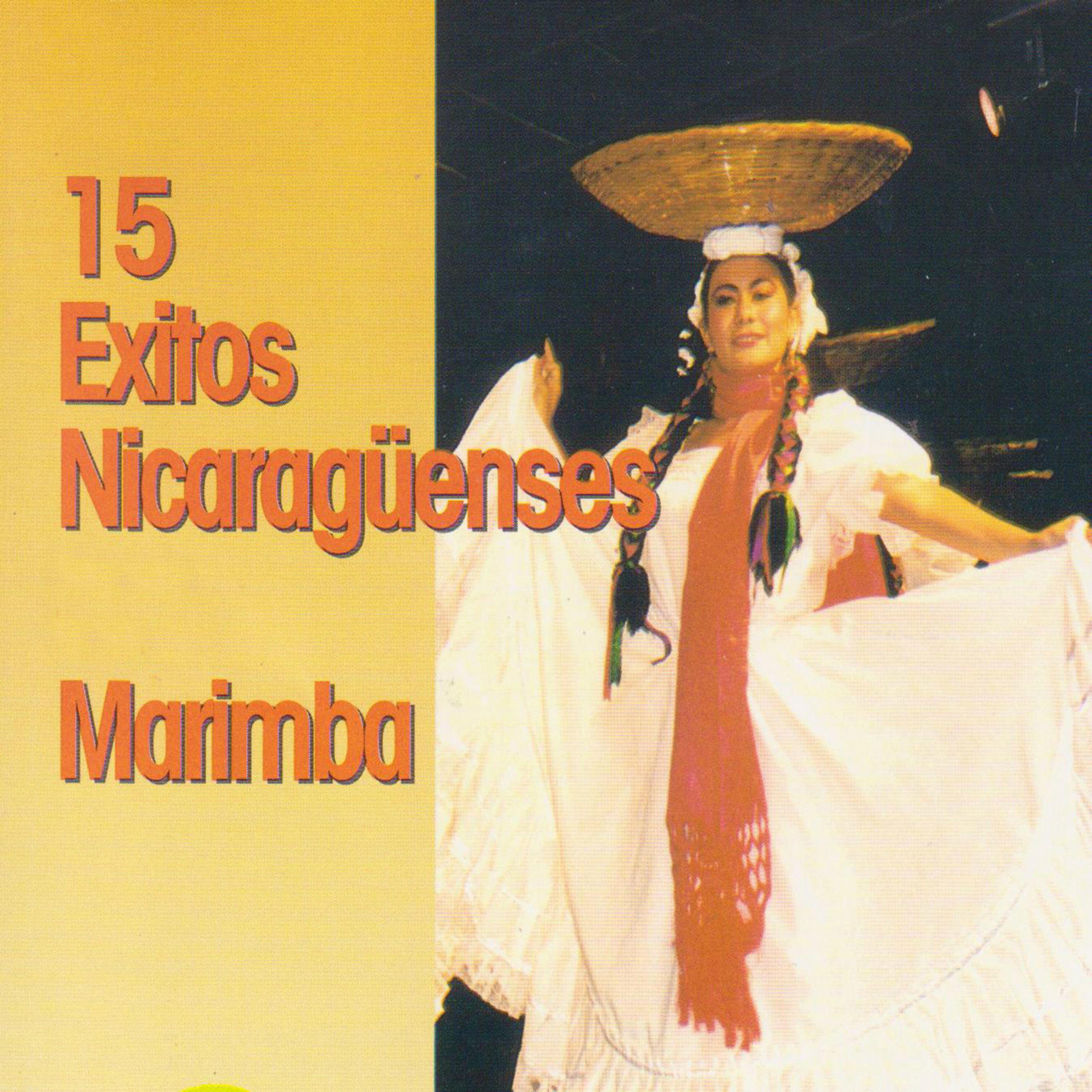 Постер альбома 15 Éxitos Nicaragüenses