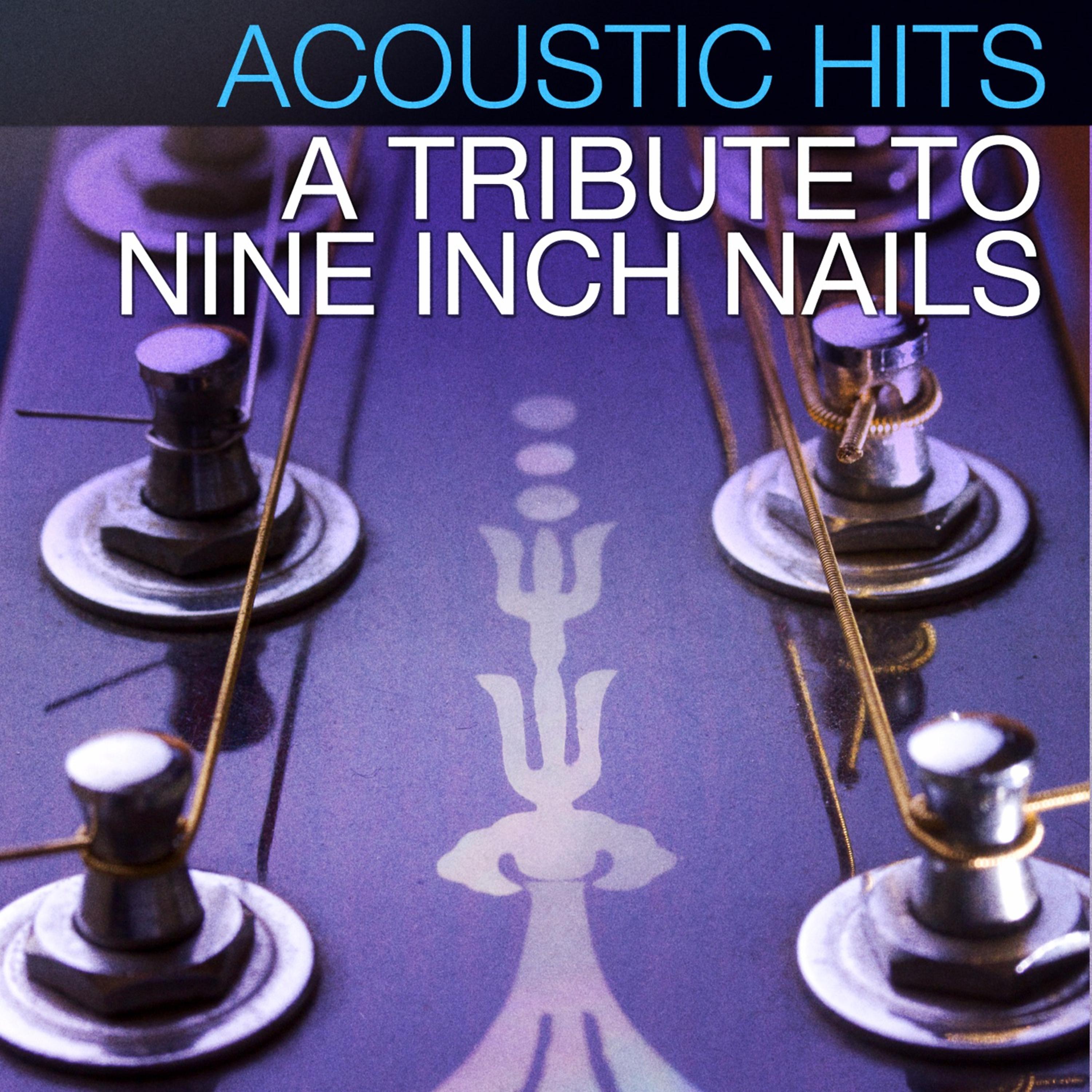 Постер альбома Acoustic Hits: A Tribute to Nine Inch Nails