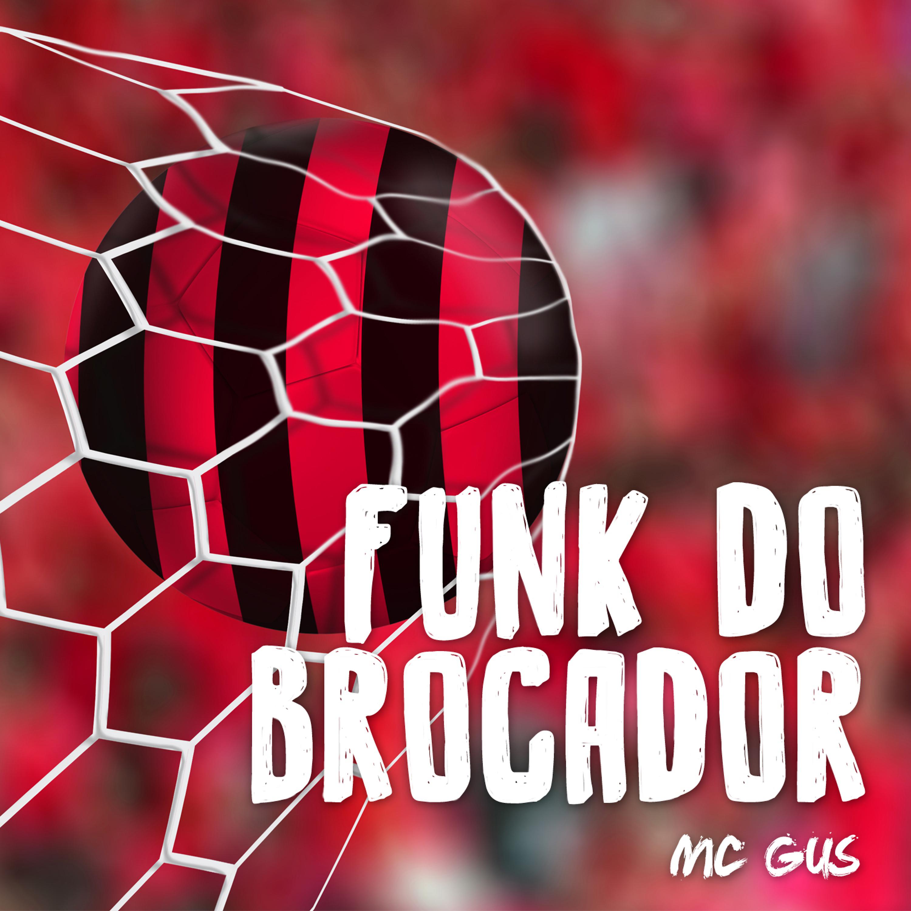 Постер альбома Hernane Brocador (Funk do Brocador)