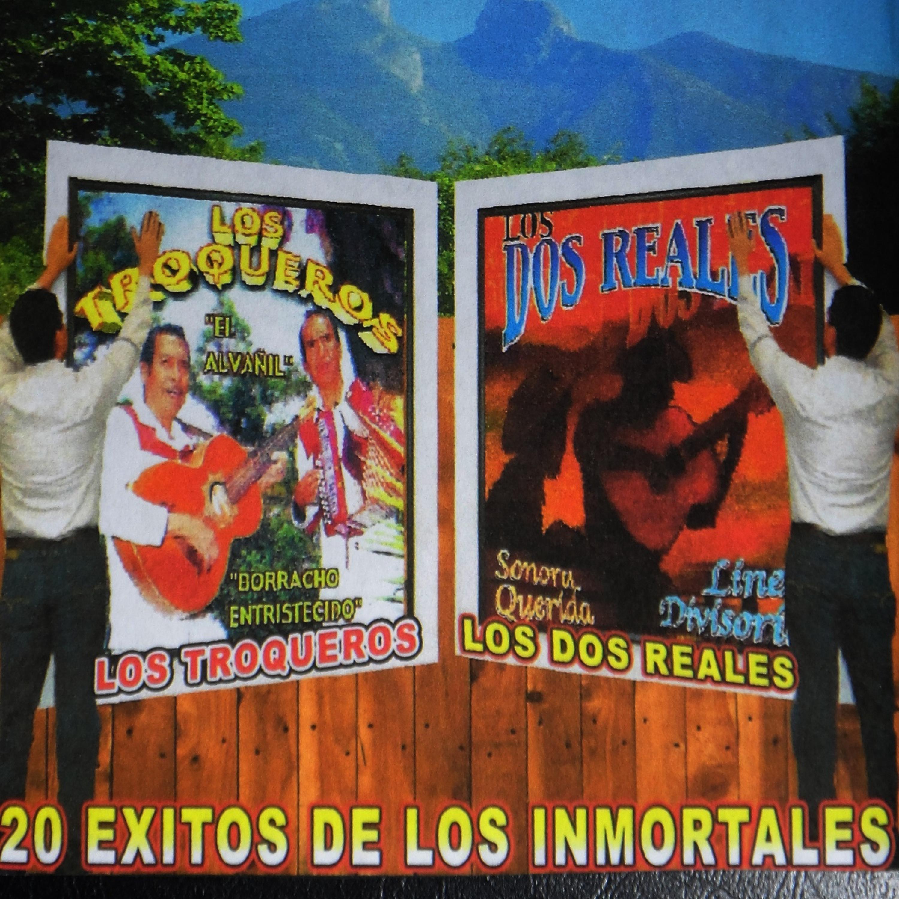 Постер альбома 20 Exitos de los Inmortales