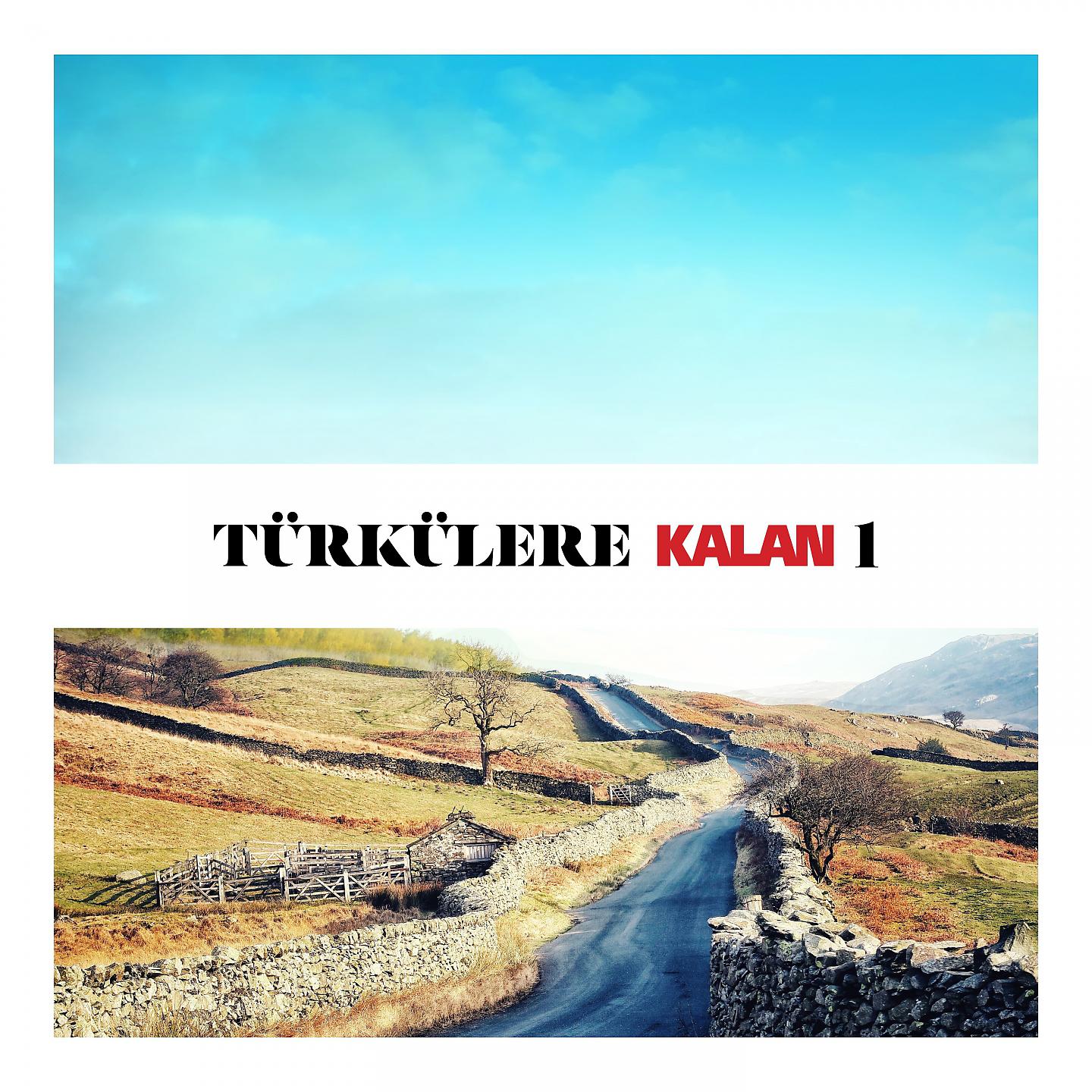 Постер альбома Türkülere Kalan 1