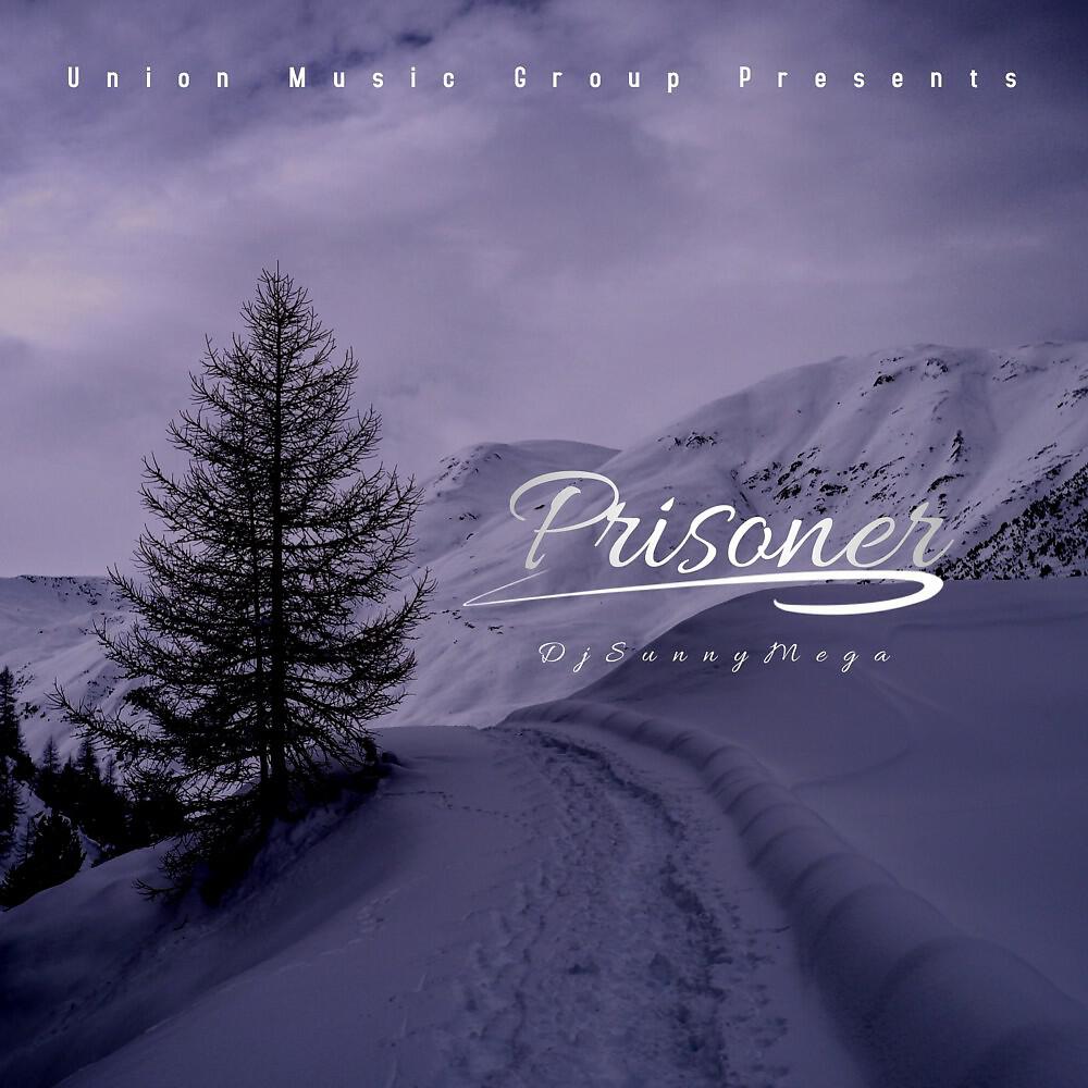DJSunnyMega - Prisoner