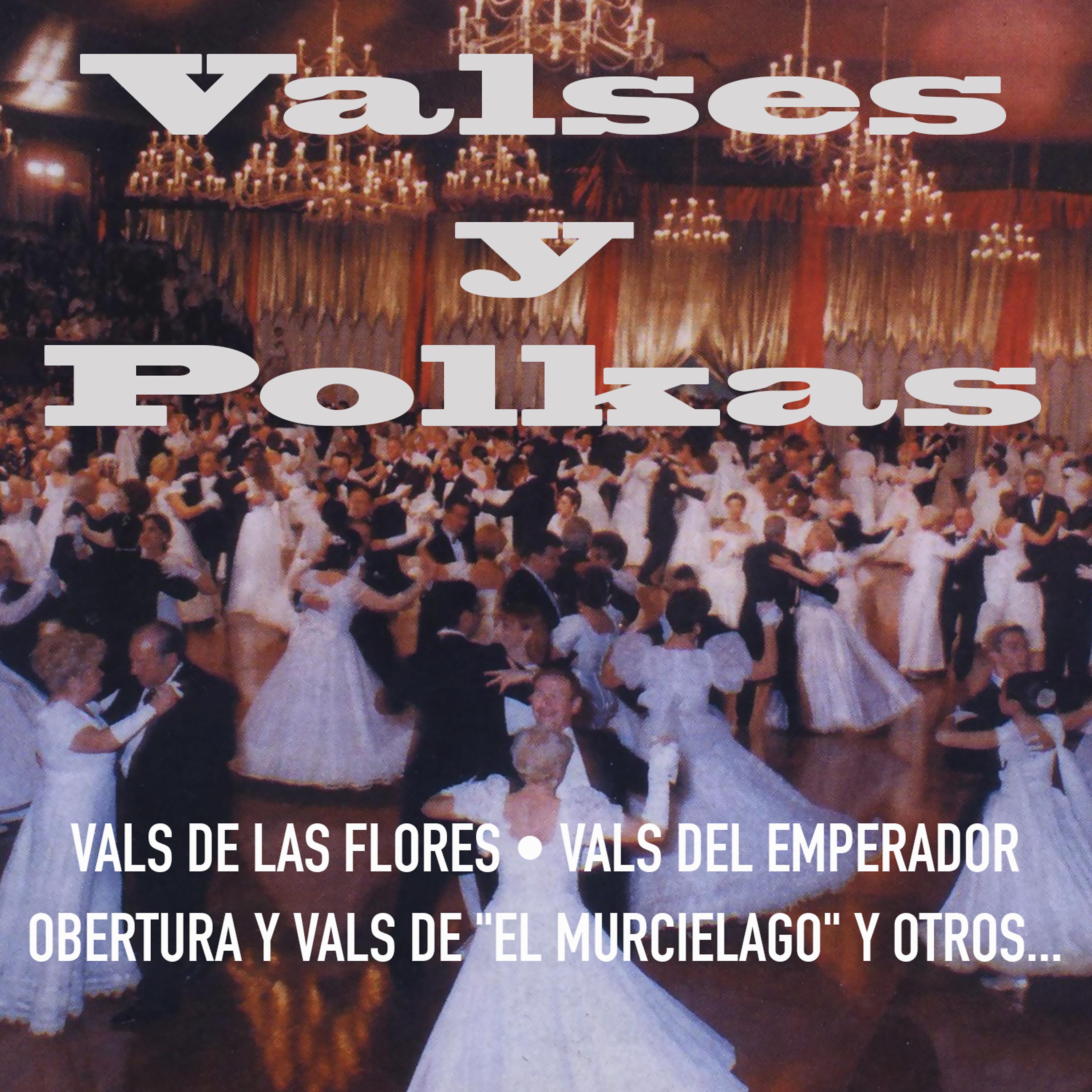 Постер альбома Valses y Polkas
