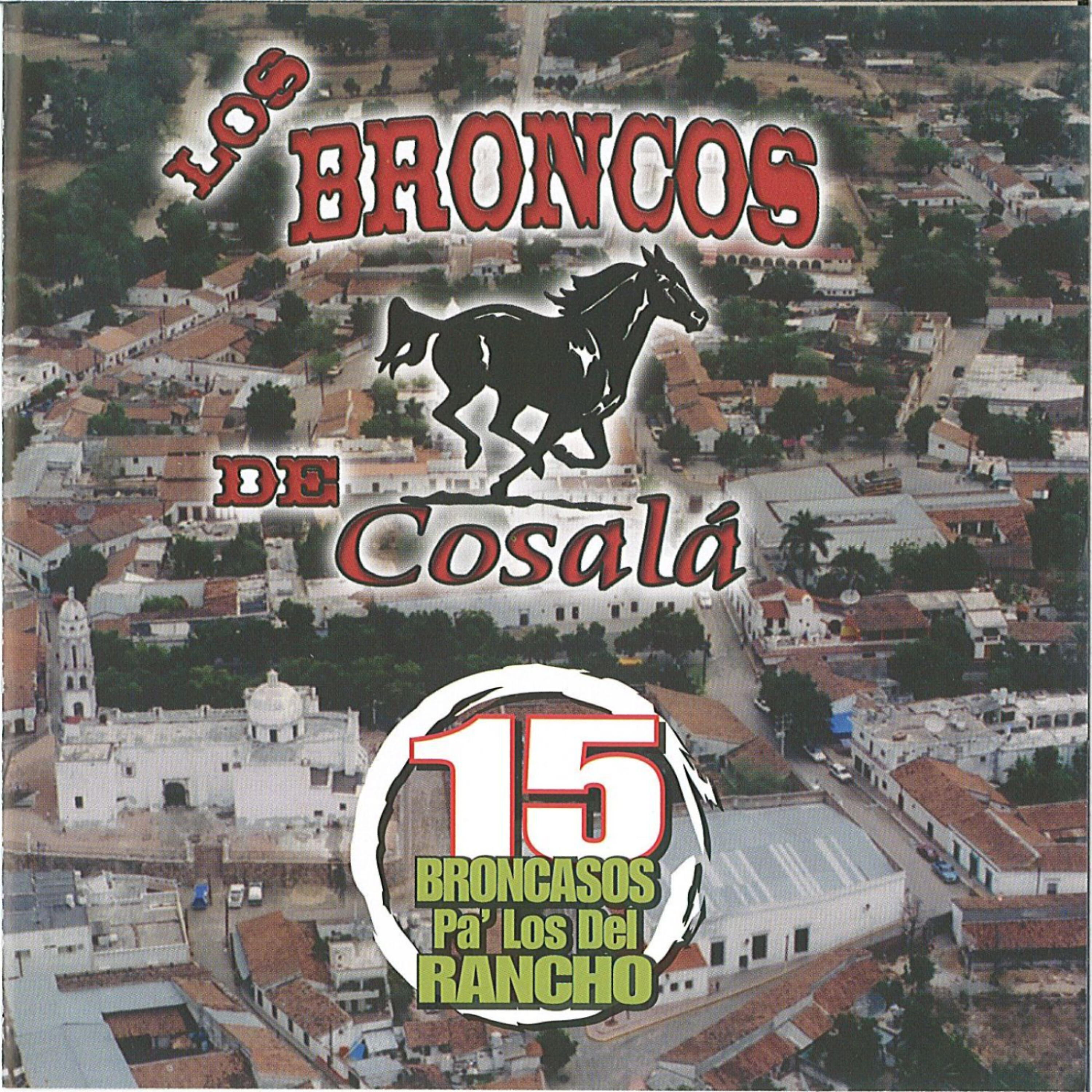 Los Broncos De Cosala - De Mis Amigos Rodeado