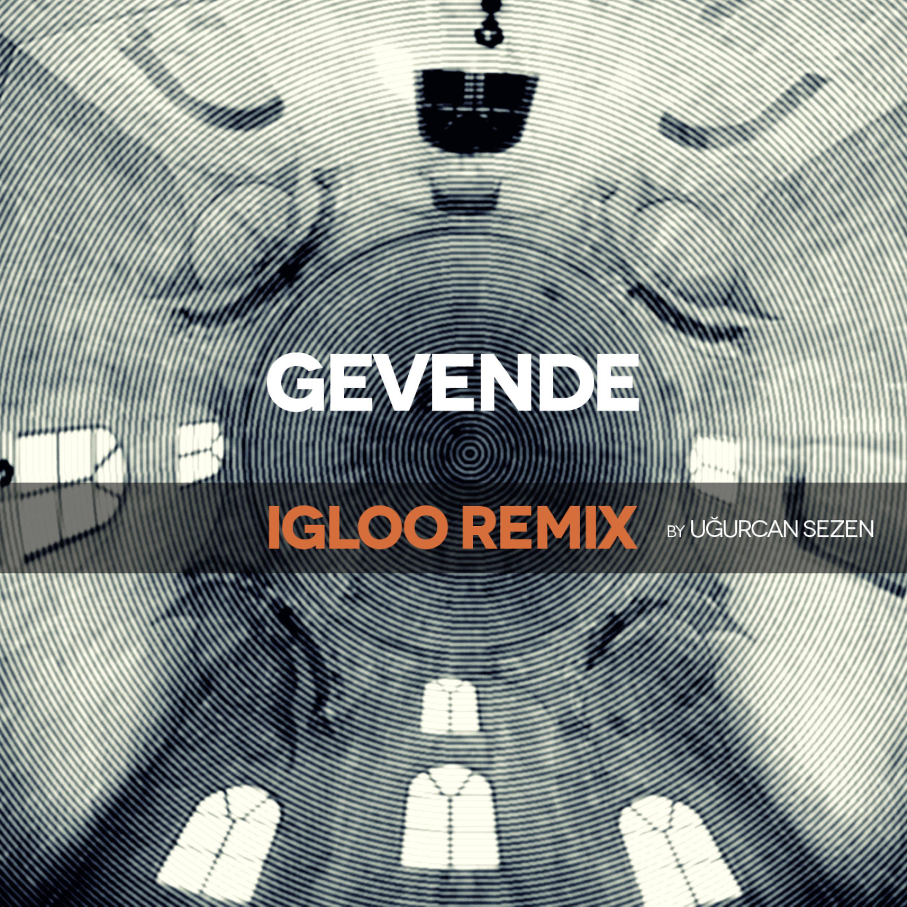 Постер альбома Igloo (Remix)