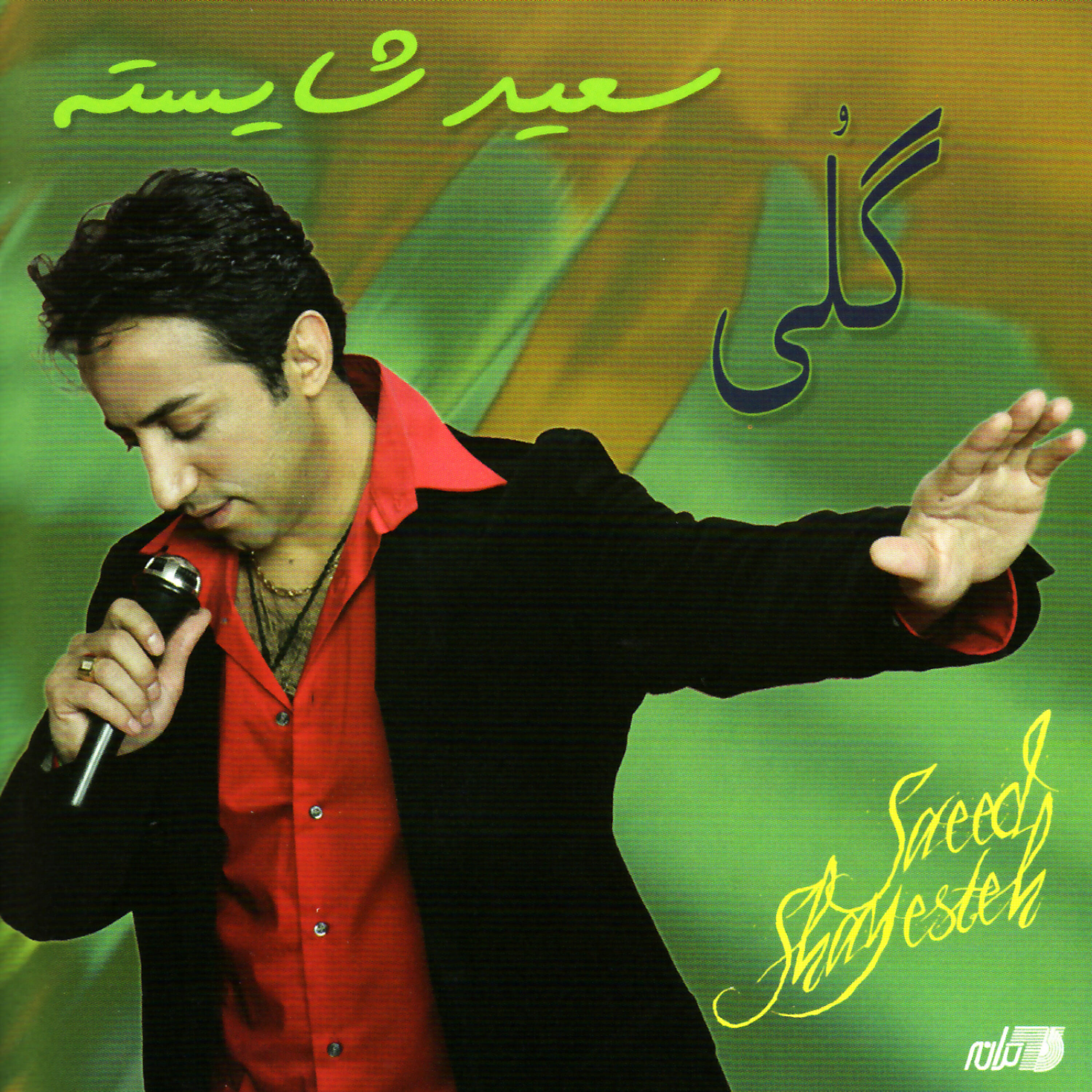 Saeed Shayesteh - Ghasam