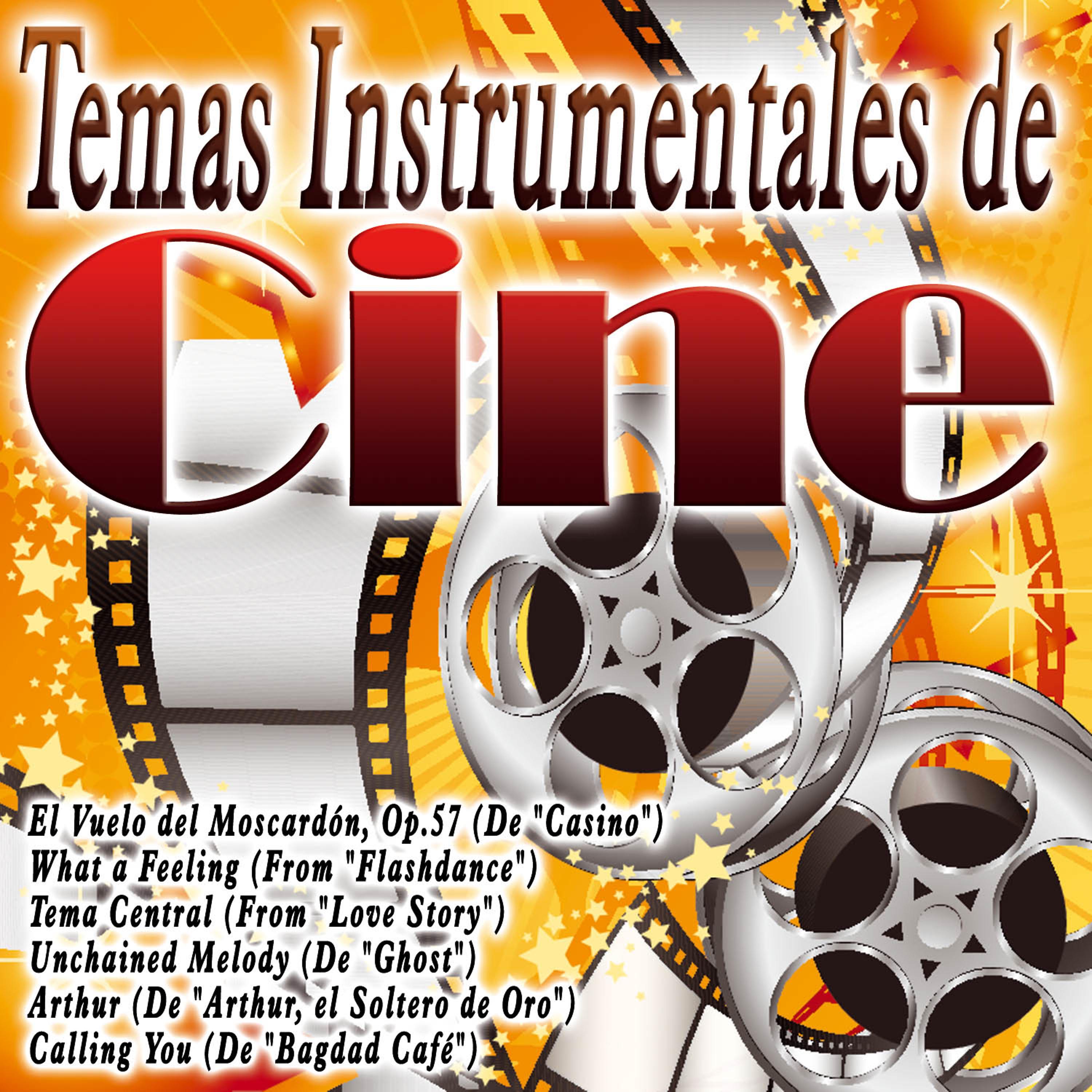 Постер альбома Temas Instrumentales de Cine