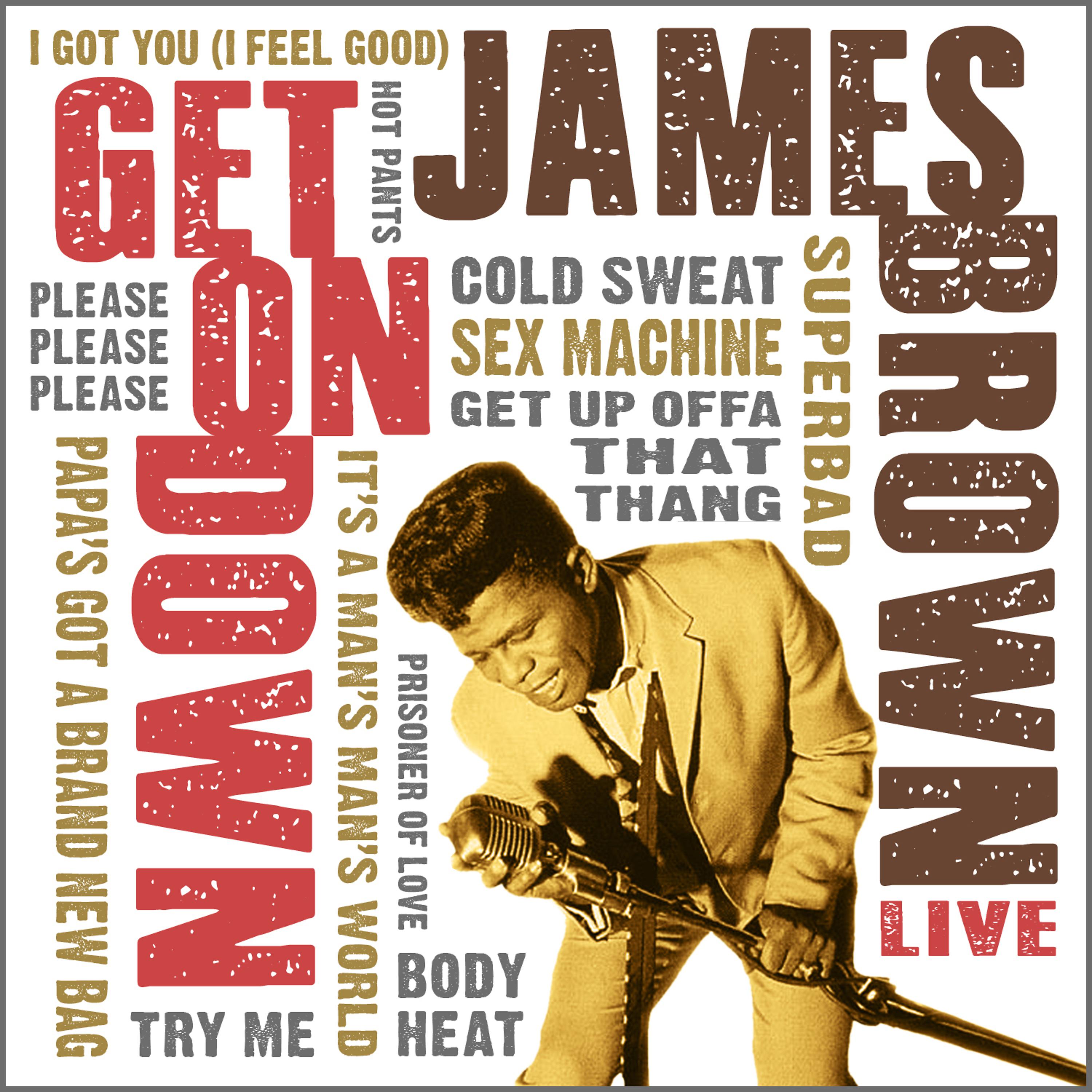 James Brown - Get up Offa That Thing (Live)