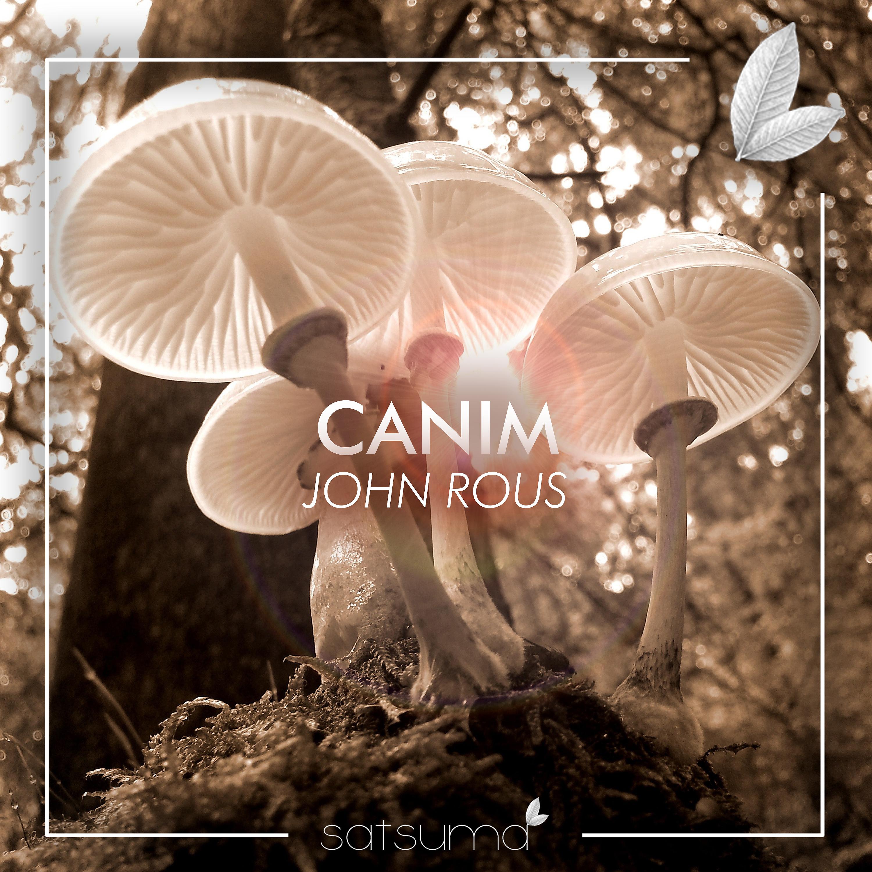 Постер альбома Canim