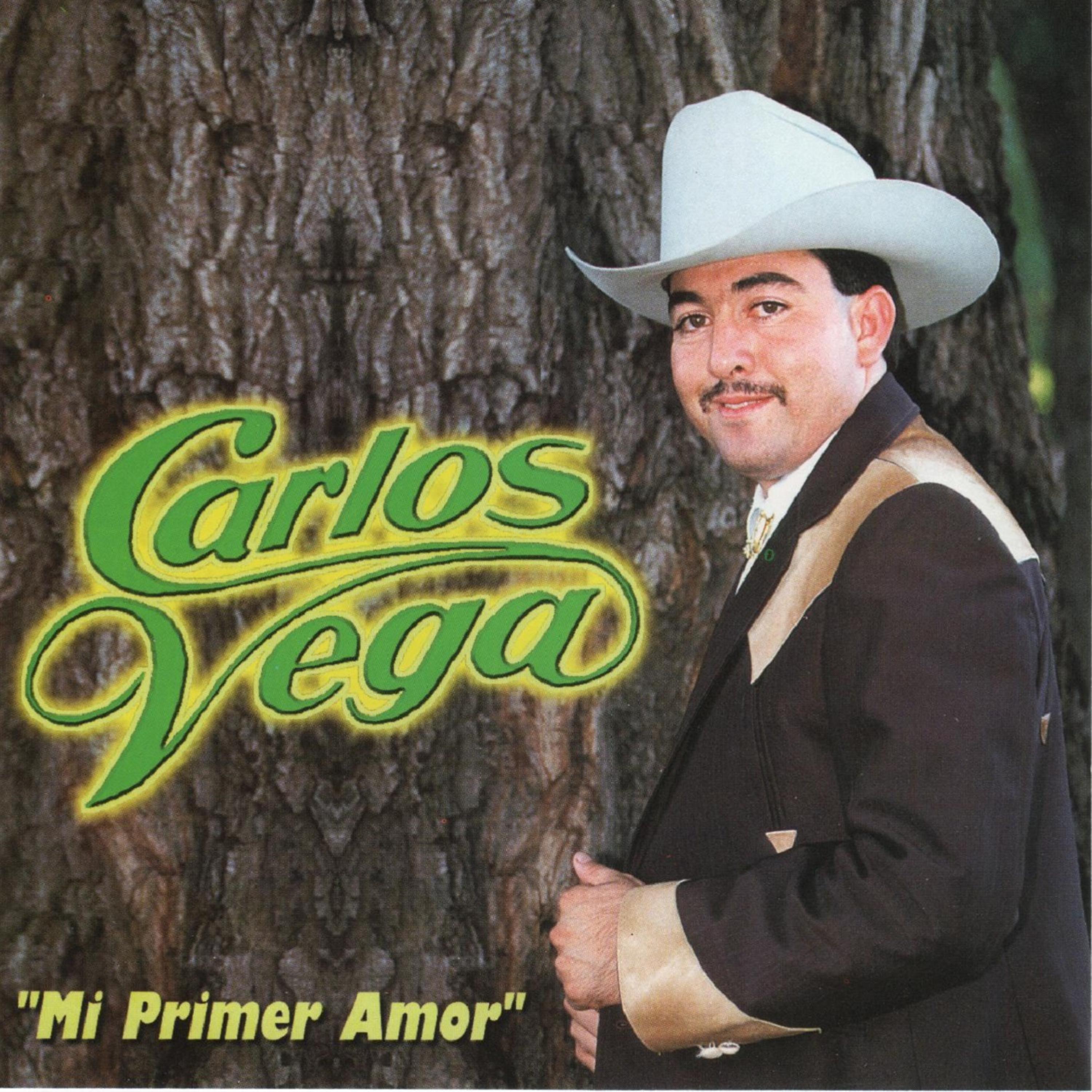 Постер альбома Mi Primer Amor