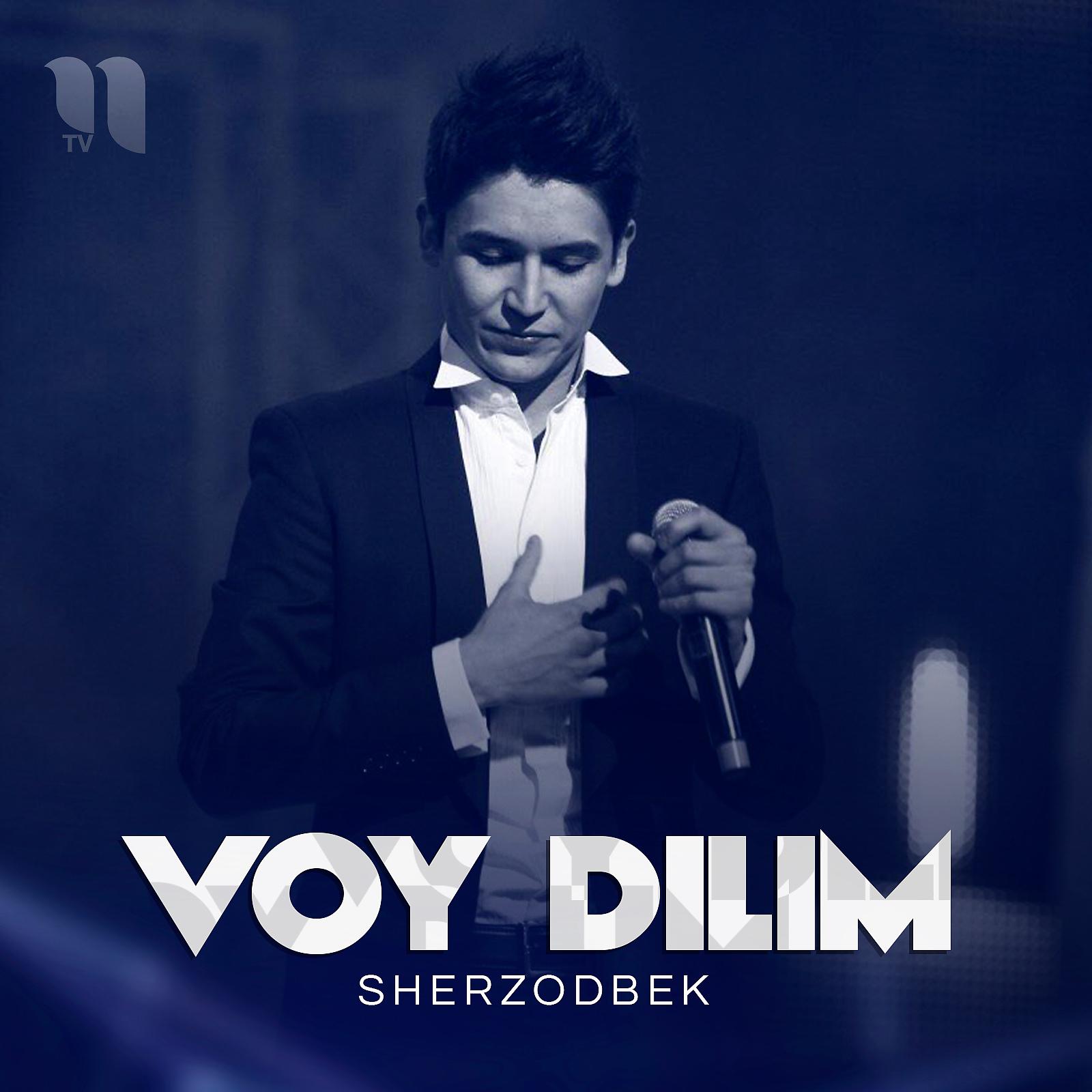 Постер альбома Voy Dilim