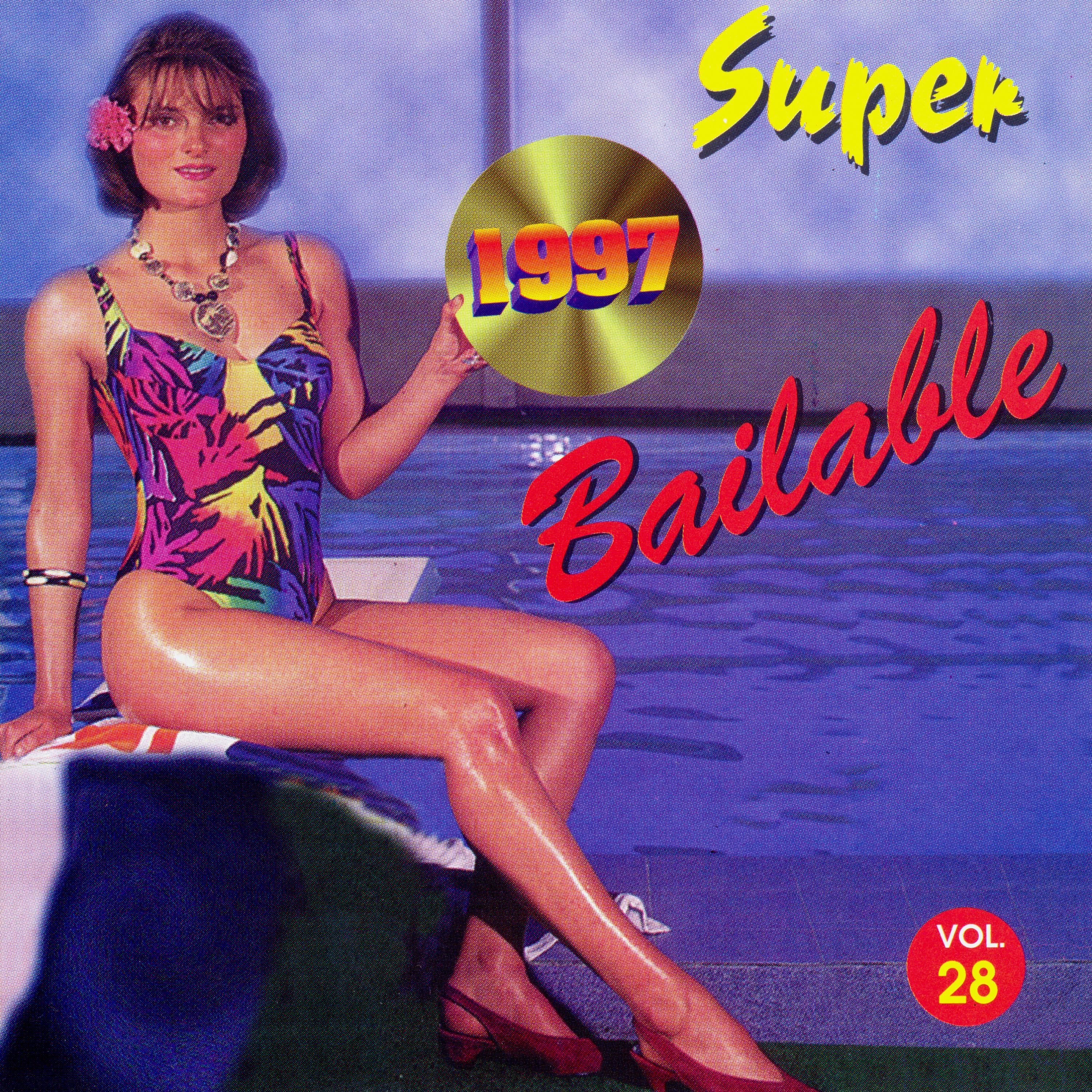Постер альбома Super Bailable Vol. 28