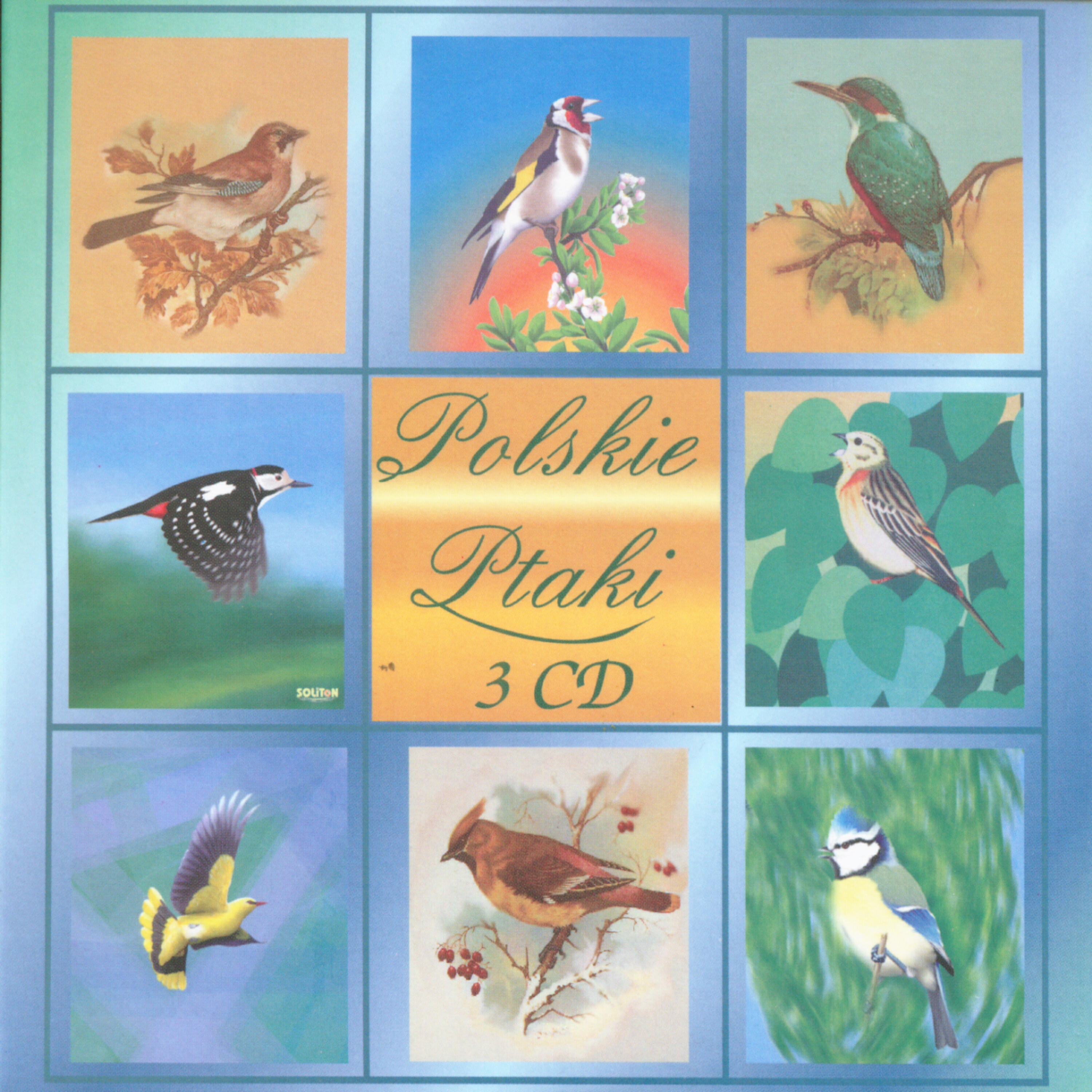 Polskie Ptaki - Crane