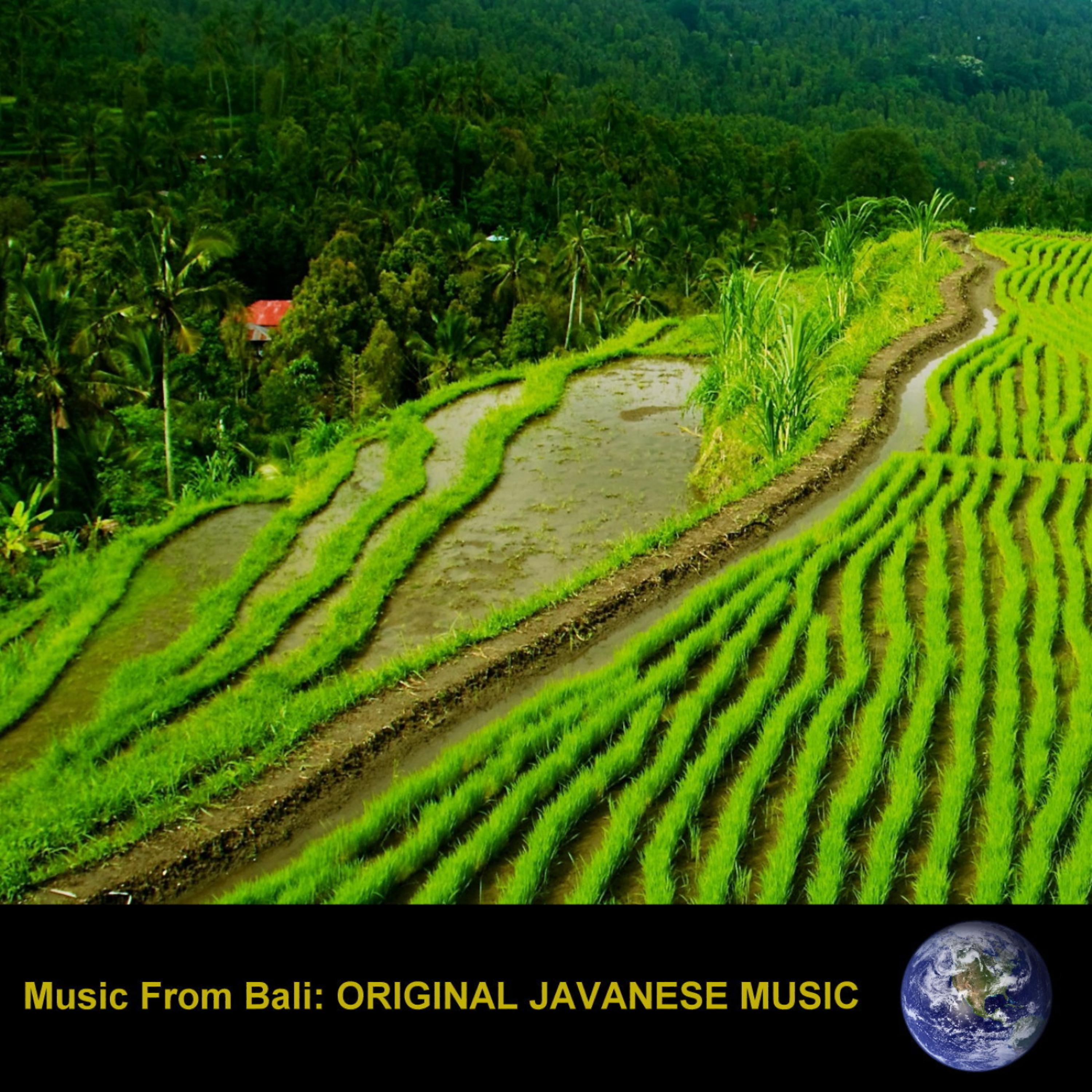 Постер альбома Music From Bali: Original Javanese Music