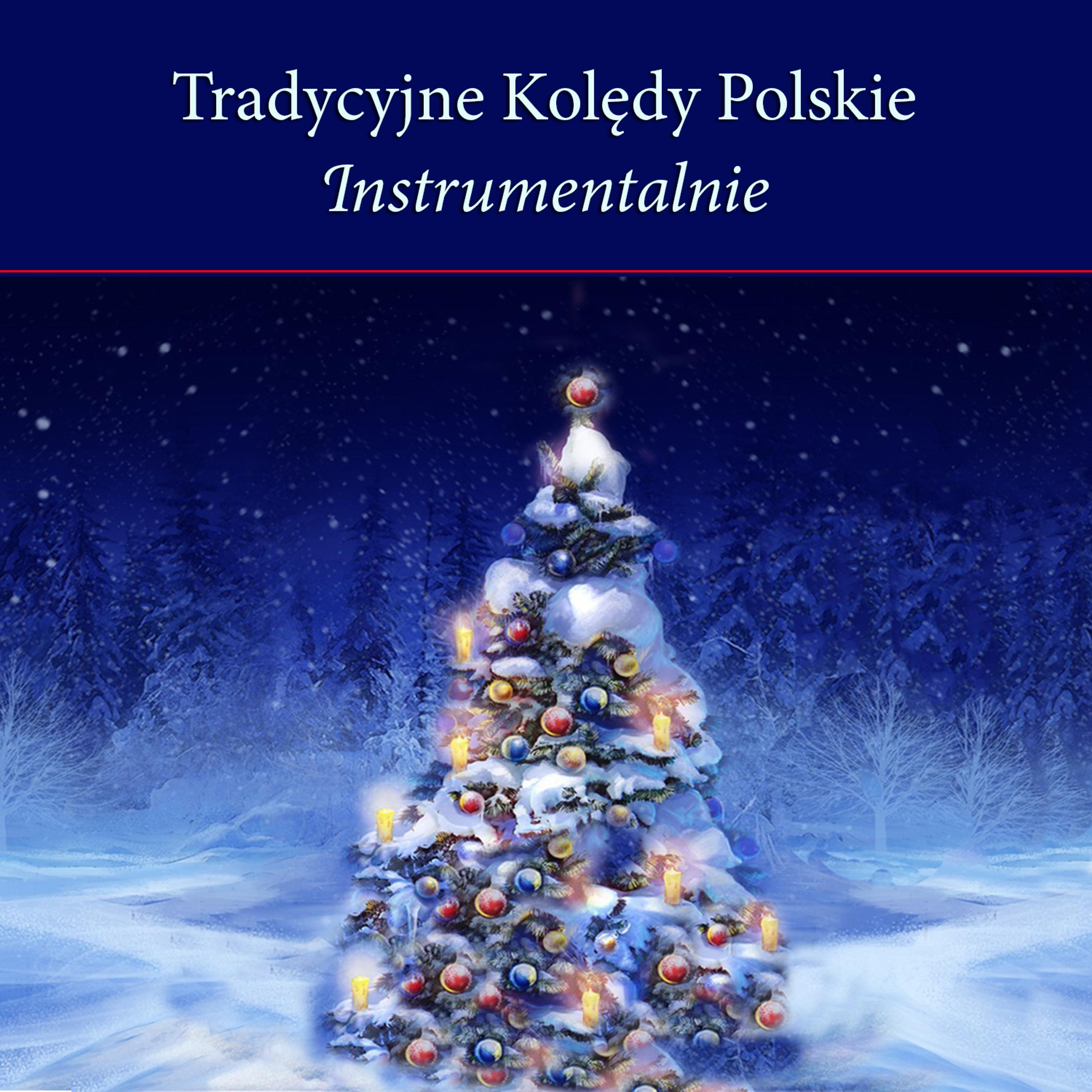 Постер альбома Tradycyjne Koledy Polskie Instrumentalnie