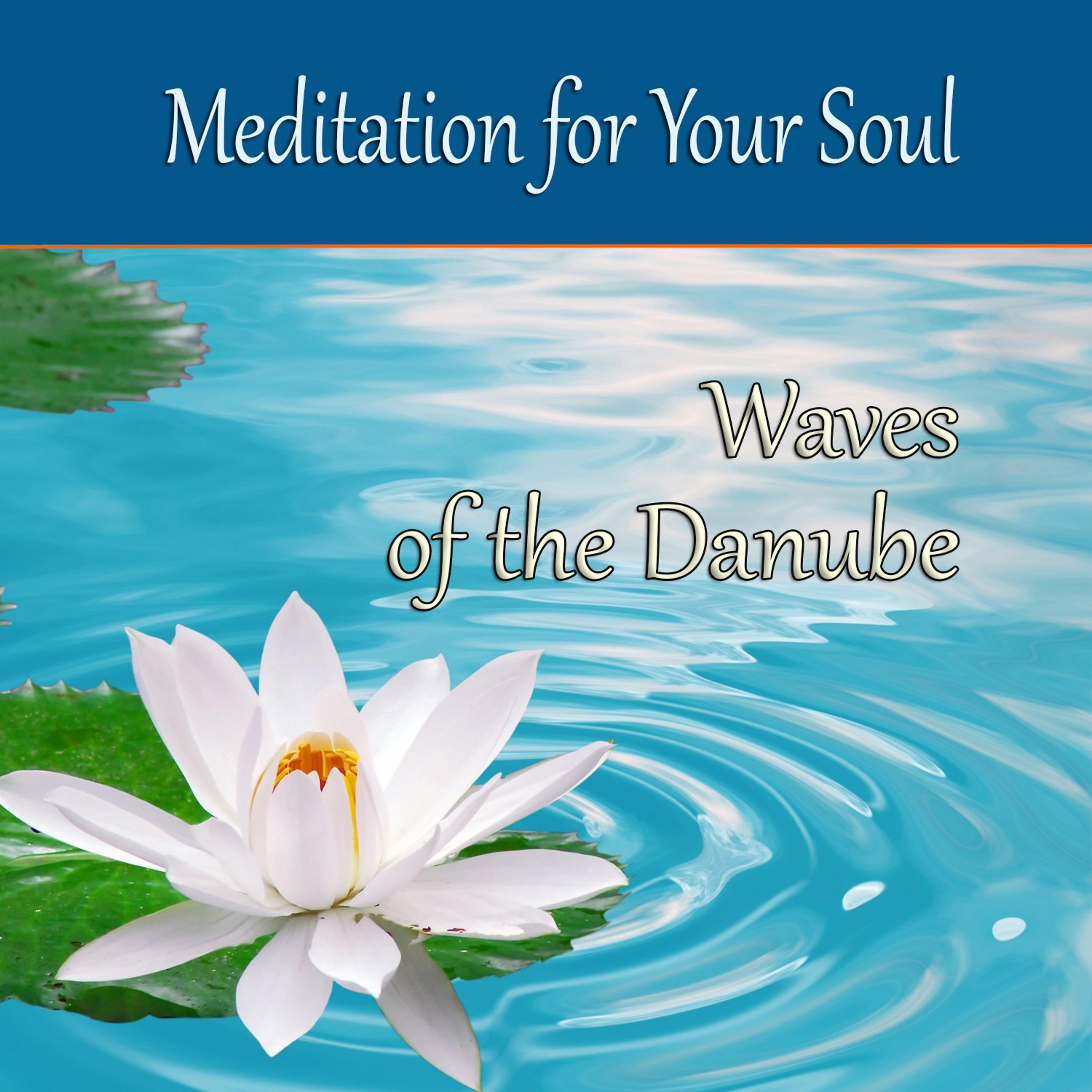 Постер альбома Meditation for Your Soul - Waves of the Danube