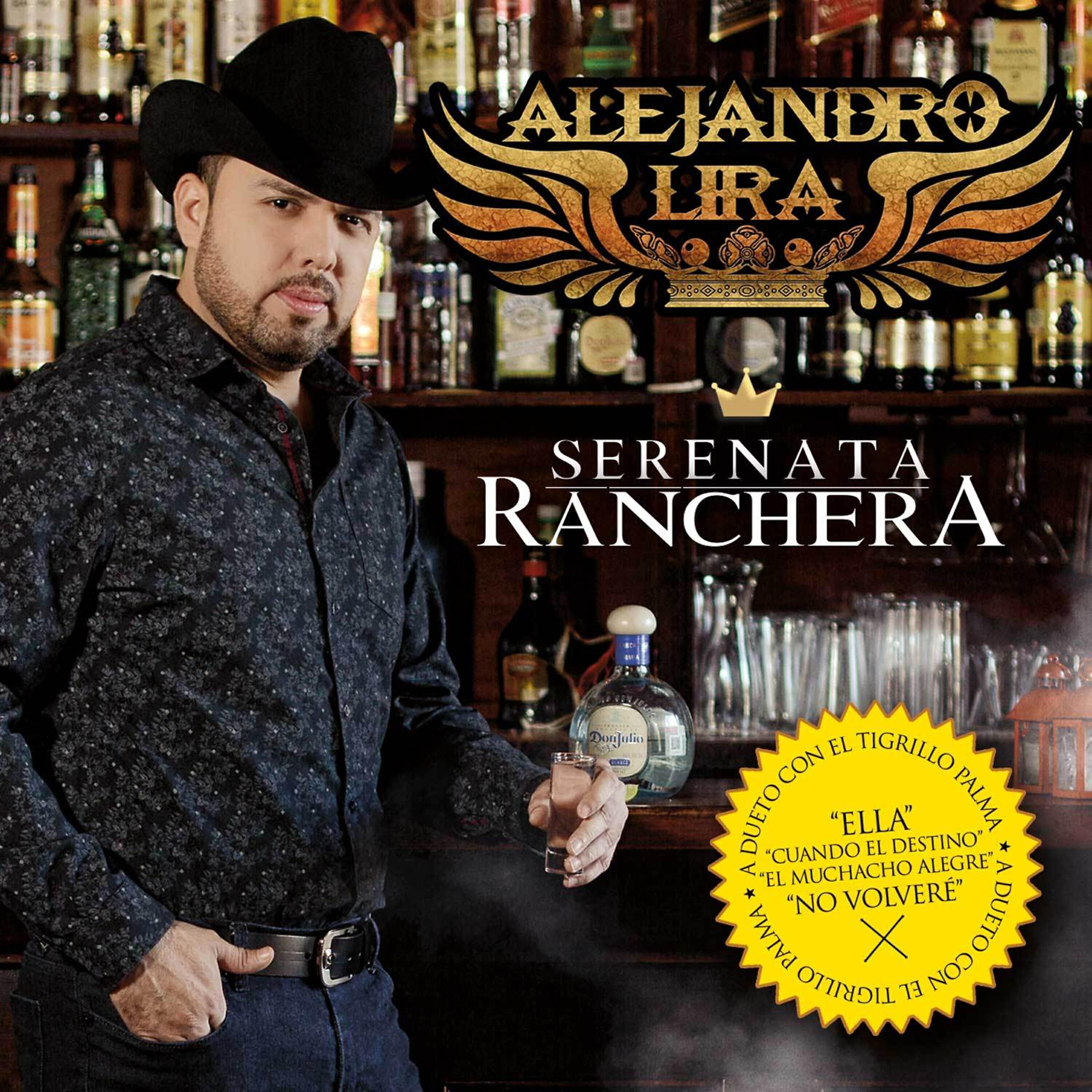 Alejandro Lira - Despacito