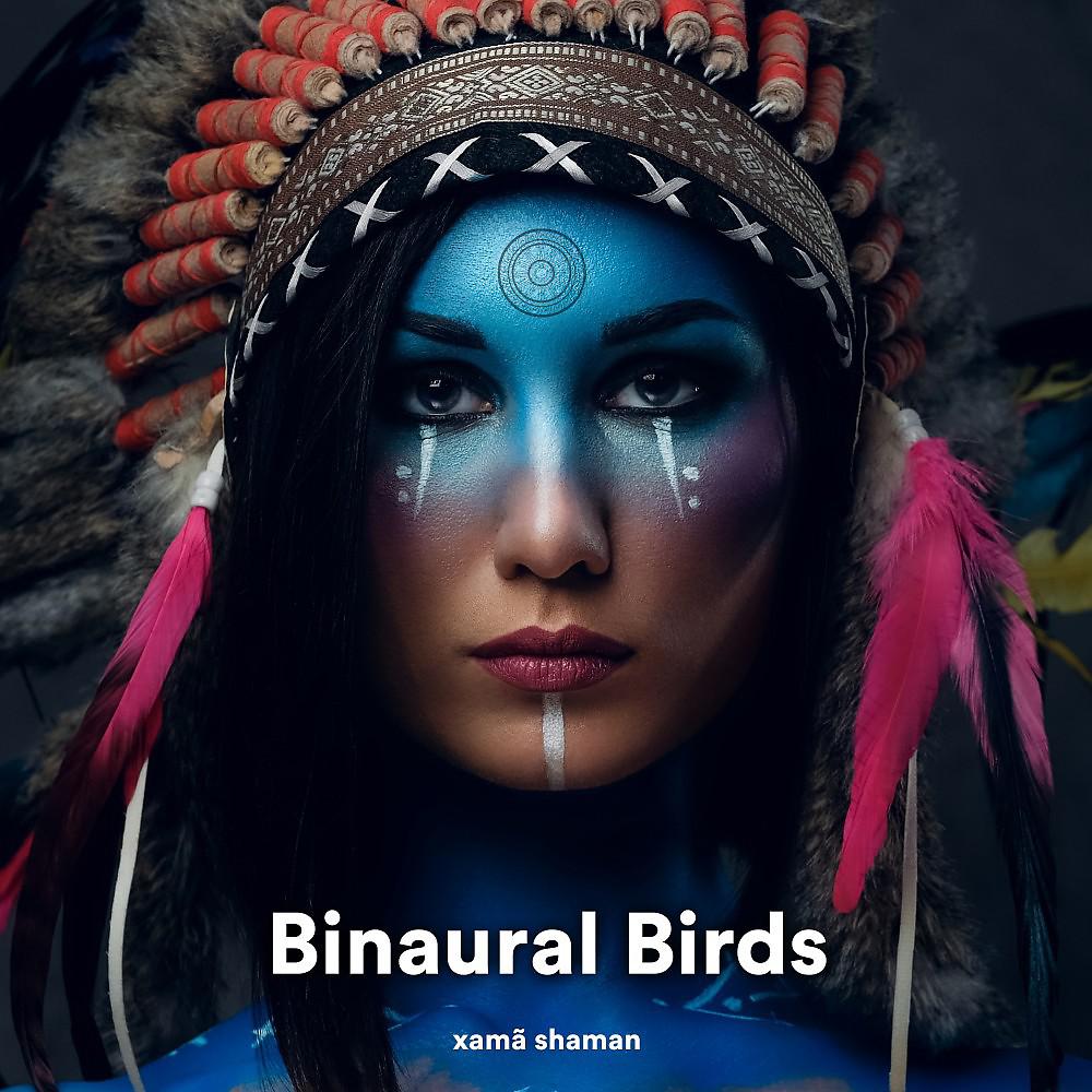 Постер альбома Binaural Birds