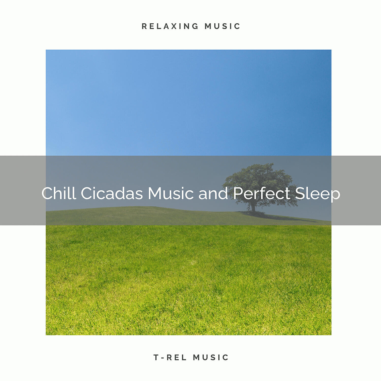Sleepy Times - No Fade of Summer Meadow Noise and Deep Sleep