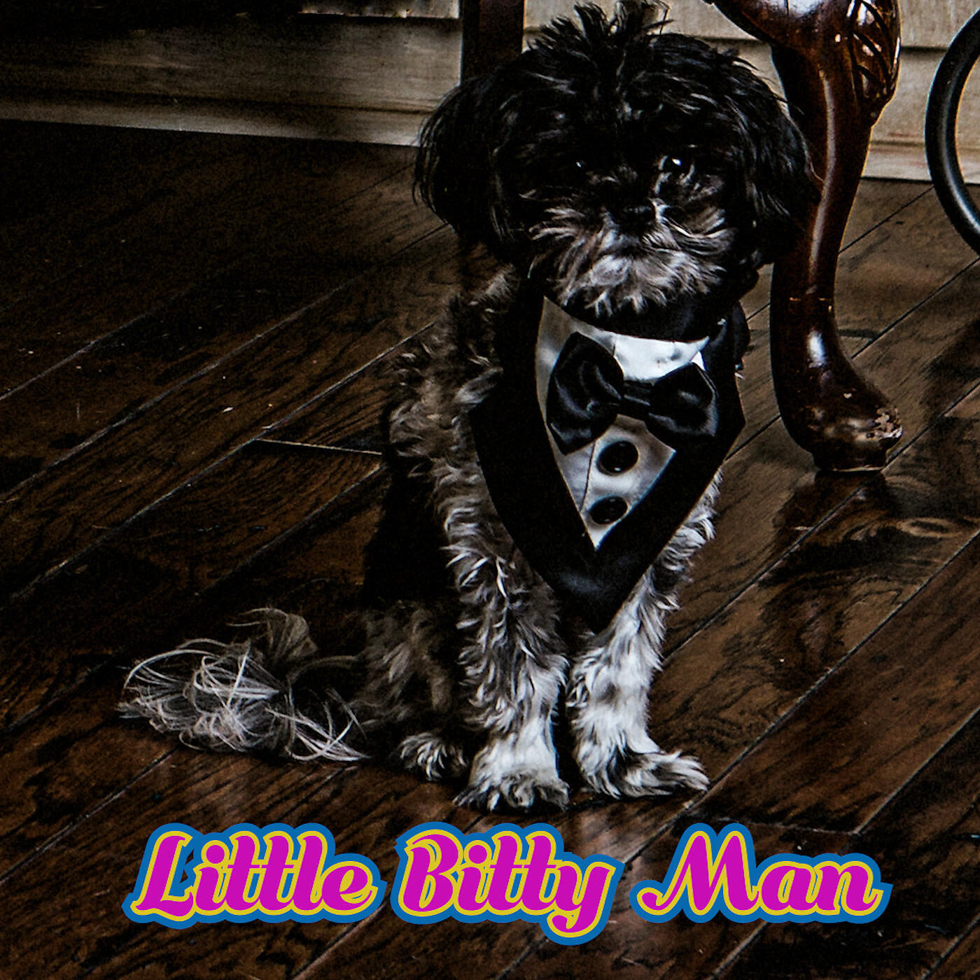 Zach Evans - Little Bitty Man