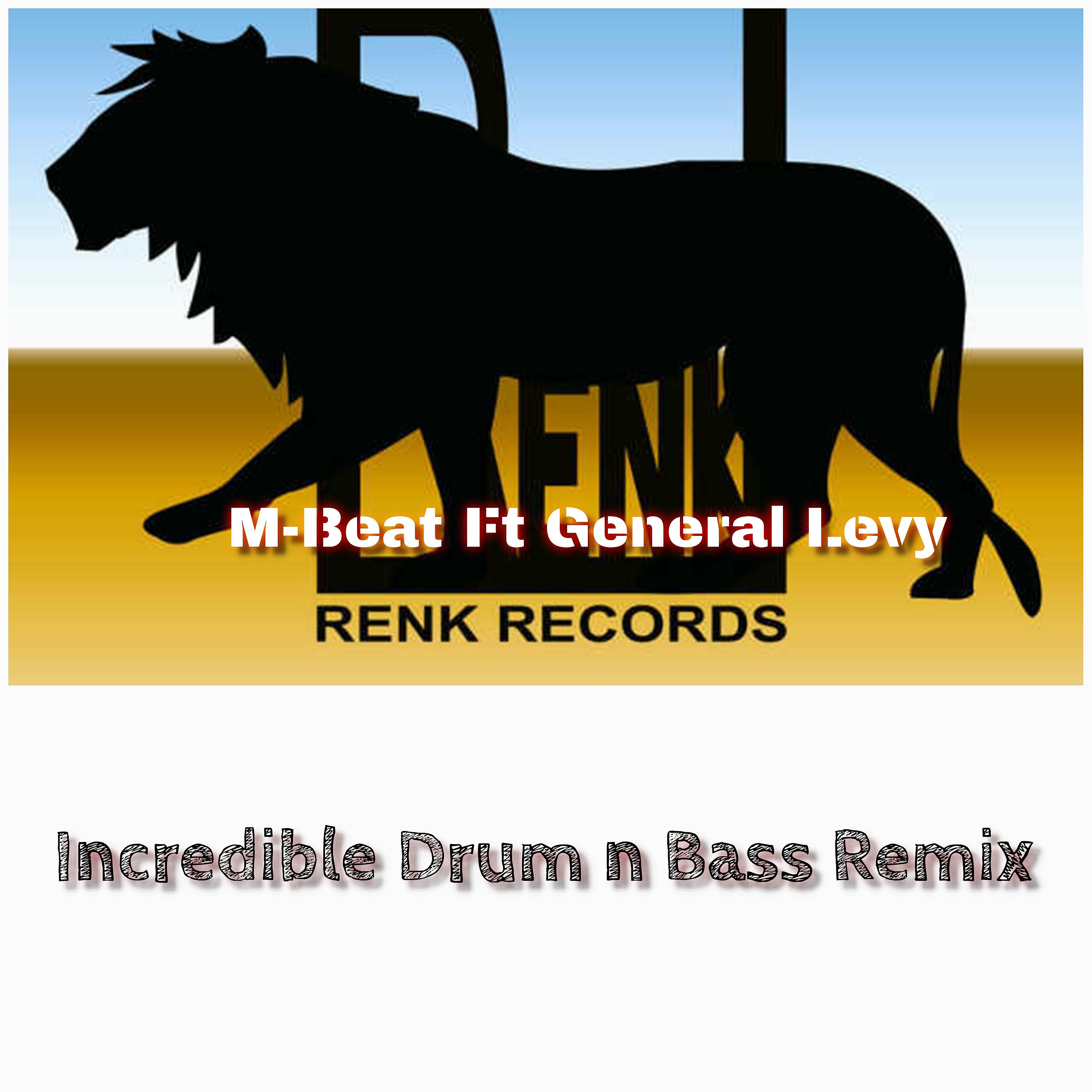 Постер альбома Incredible Drum n Bass Remix