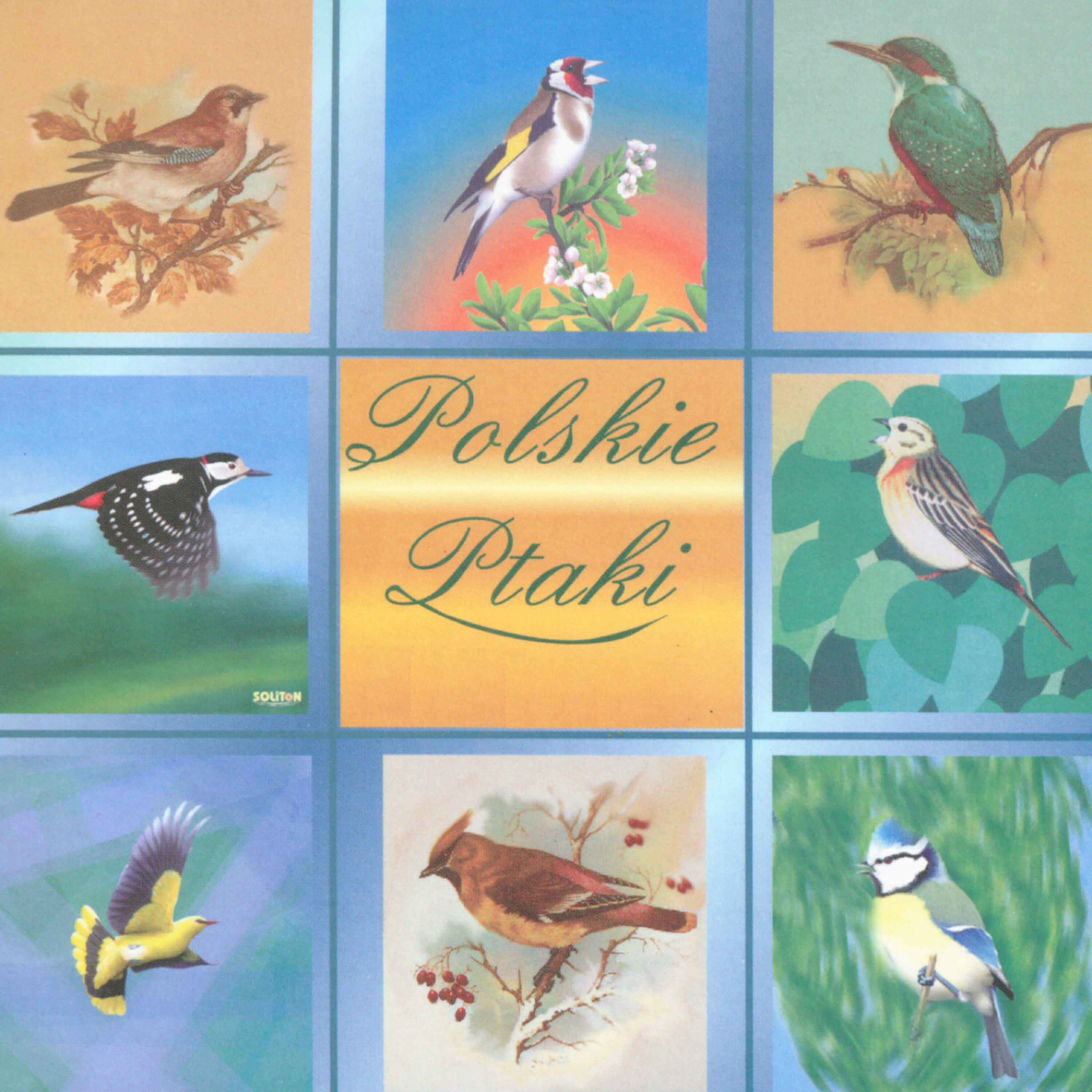Polskie Ptaki - Bird sounds - Tit