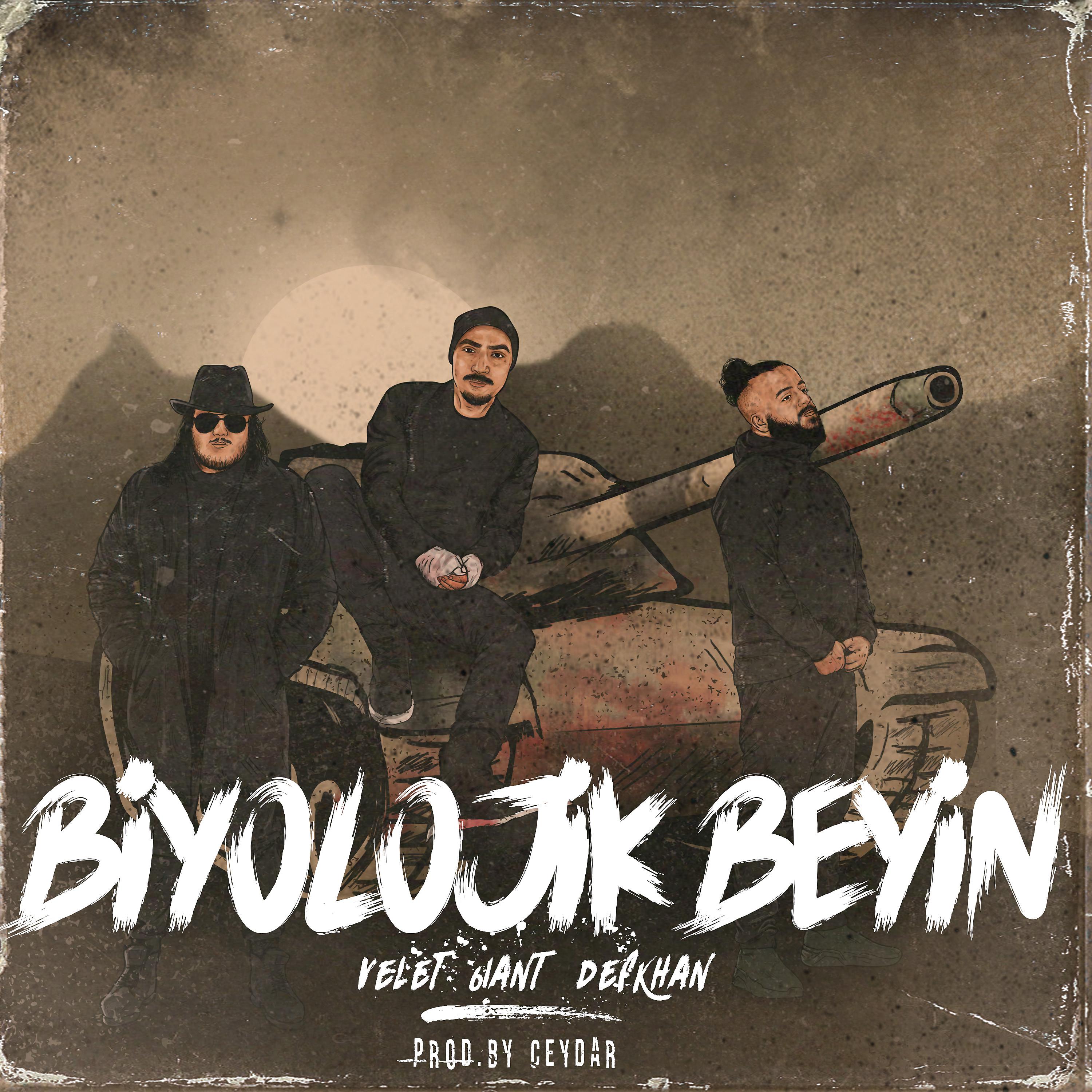 Постер альбома Biyolojik Beyin
