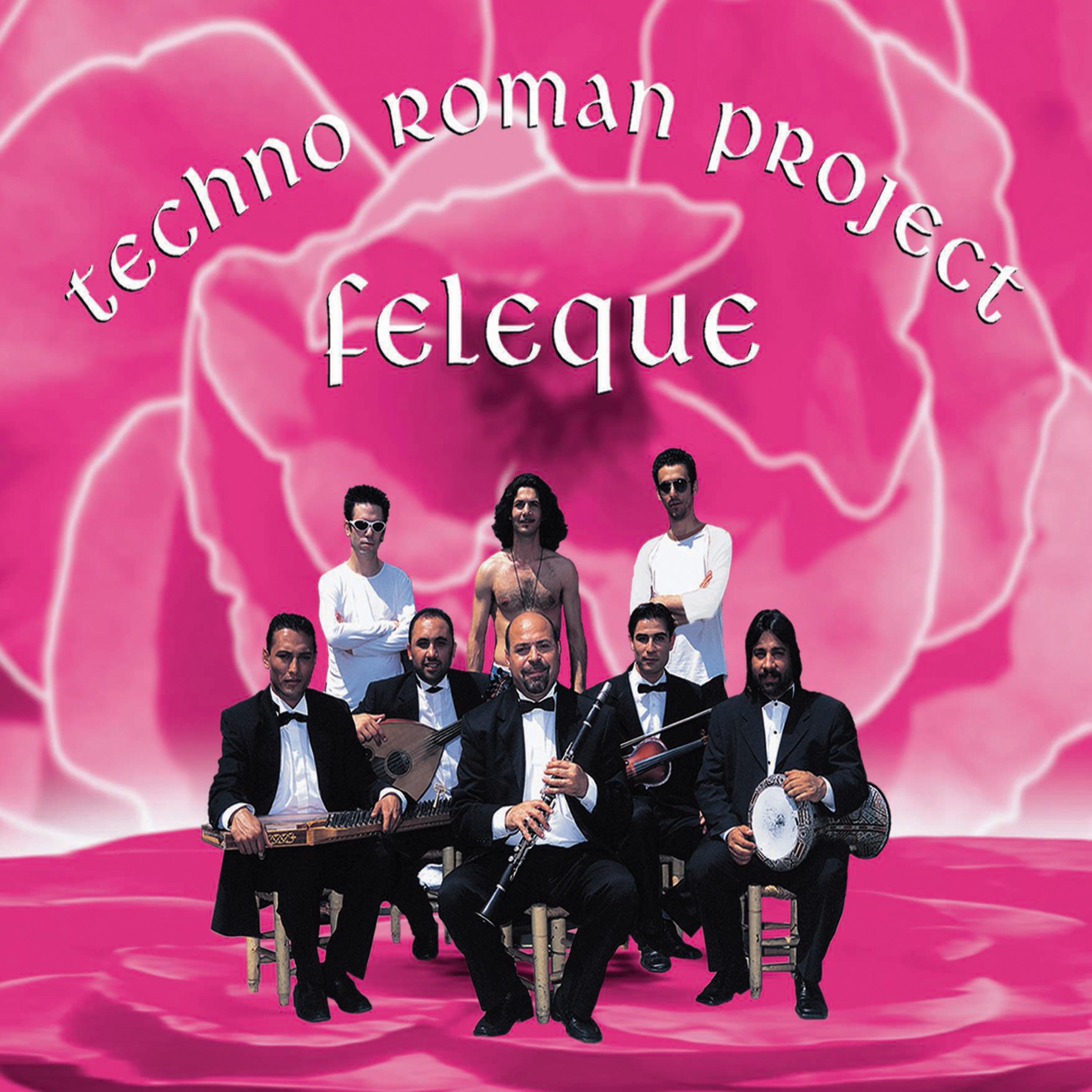 Постер альбома Feleque