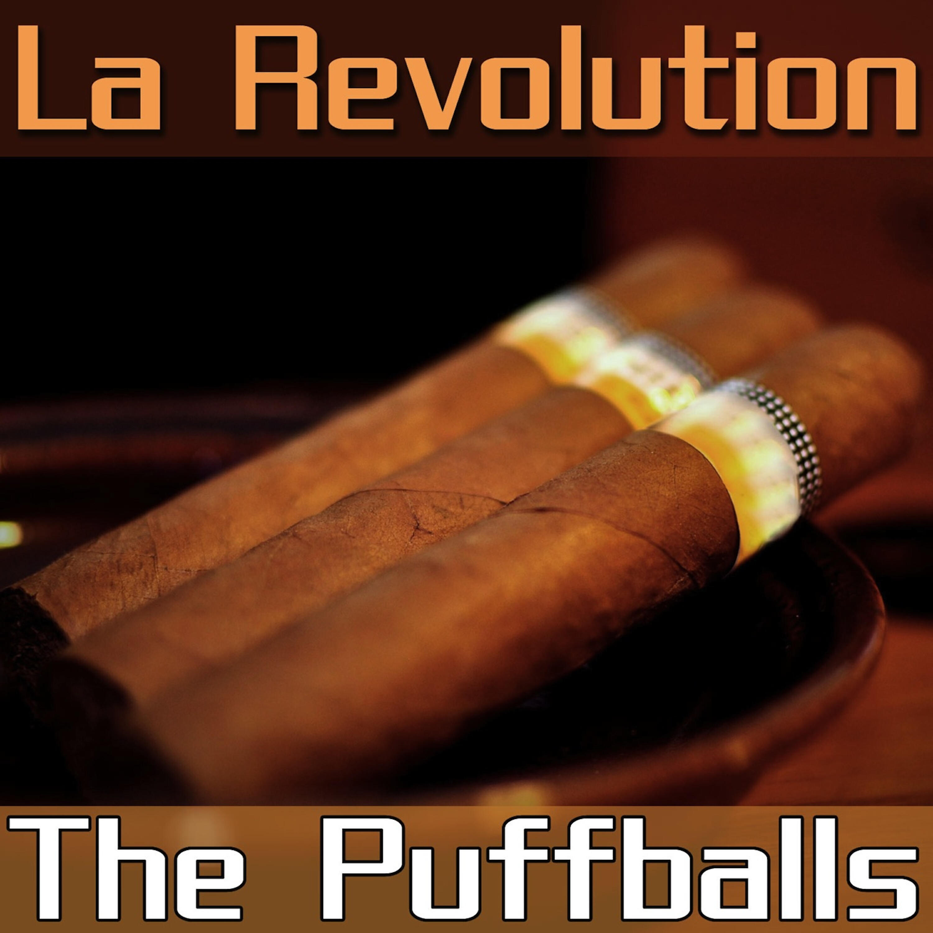 The Puffballs - La Revolution (Max Millan Remix)