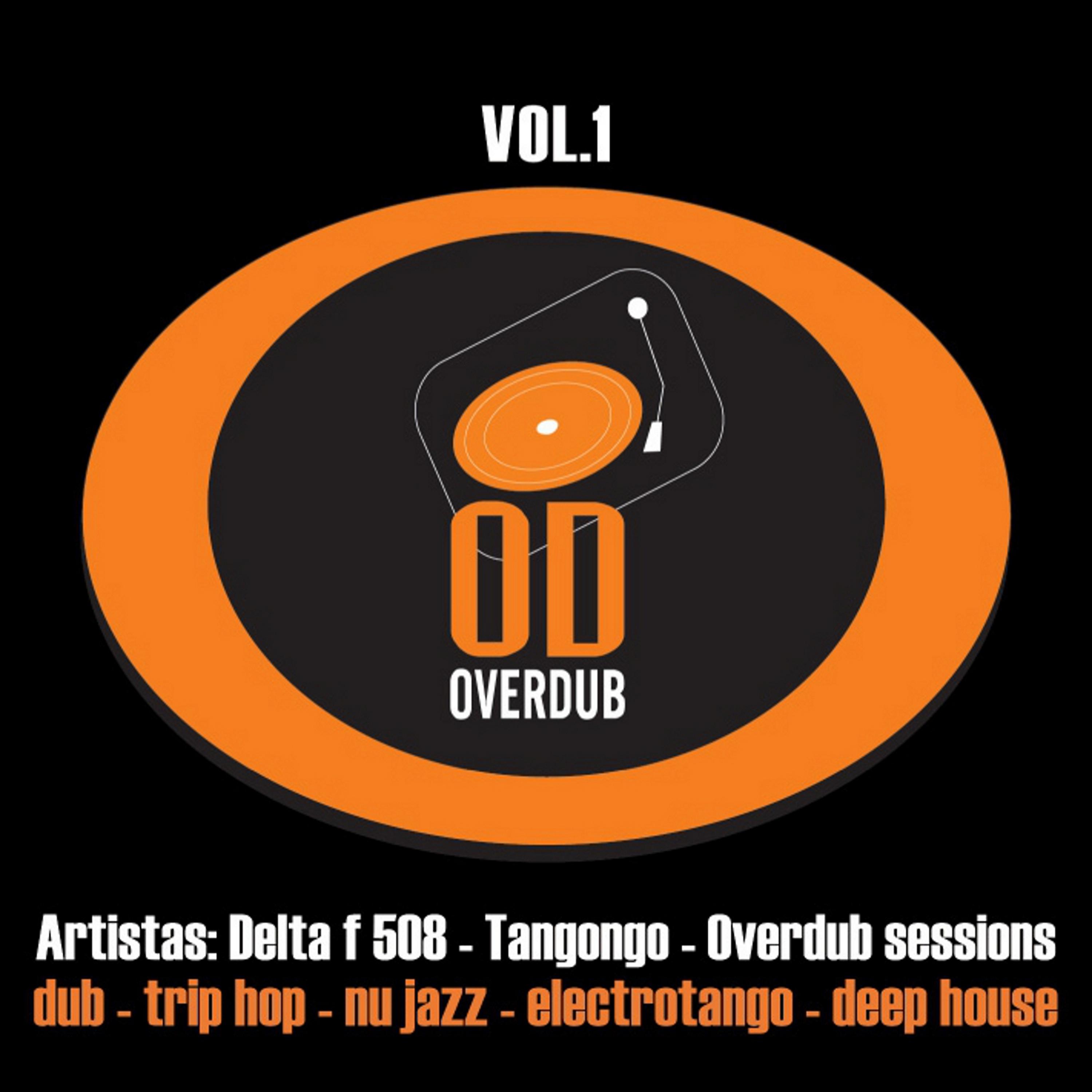 Постер альбома Overdub, Vol. 1