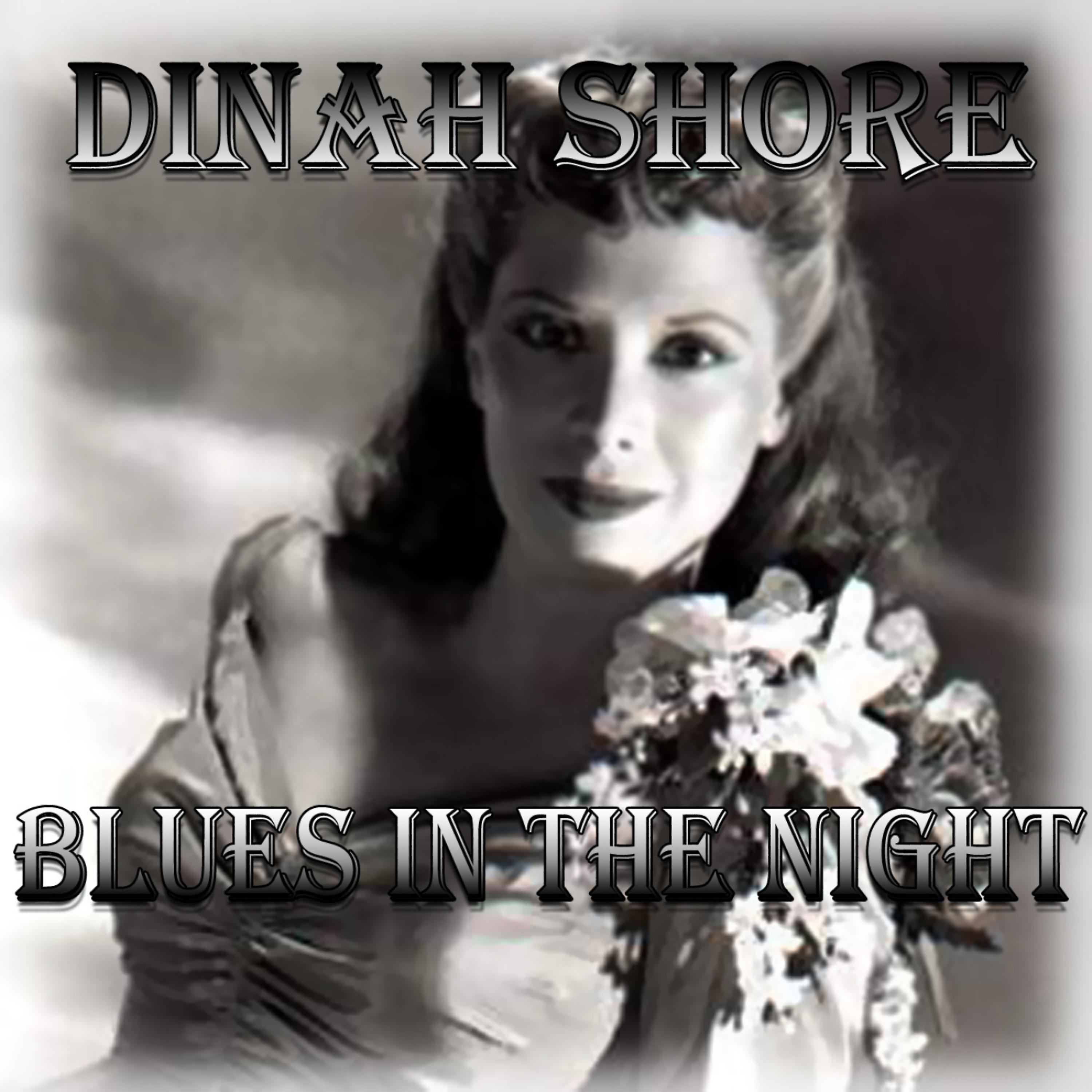 Постер альбома Blues in the Night