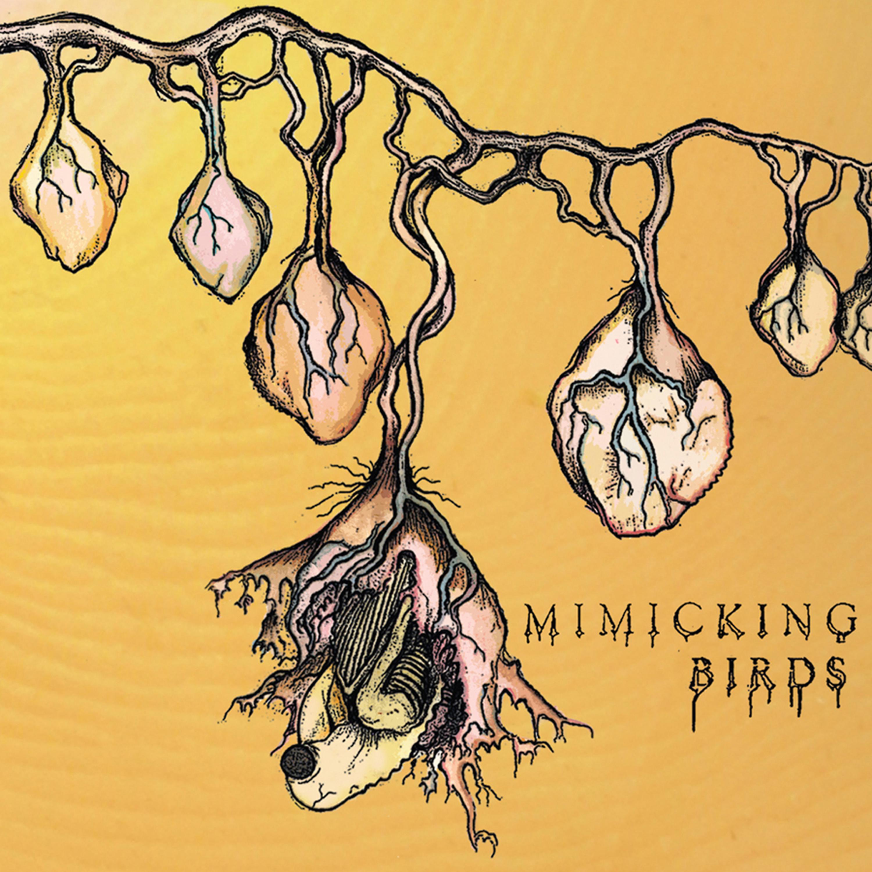 Постер альбома Mimicking Birds