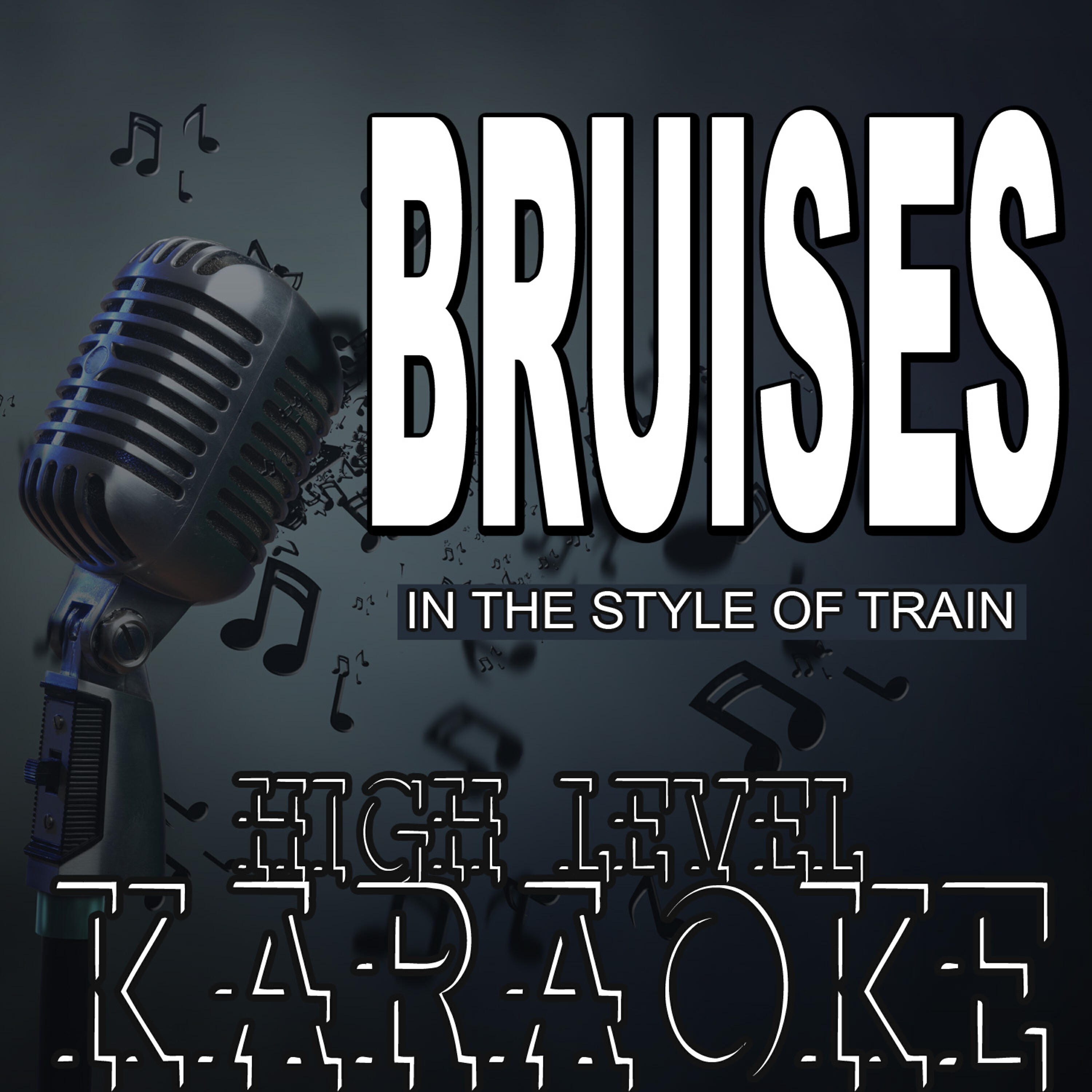 High Level Karaoke - Bruises (Karaoke Version)