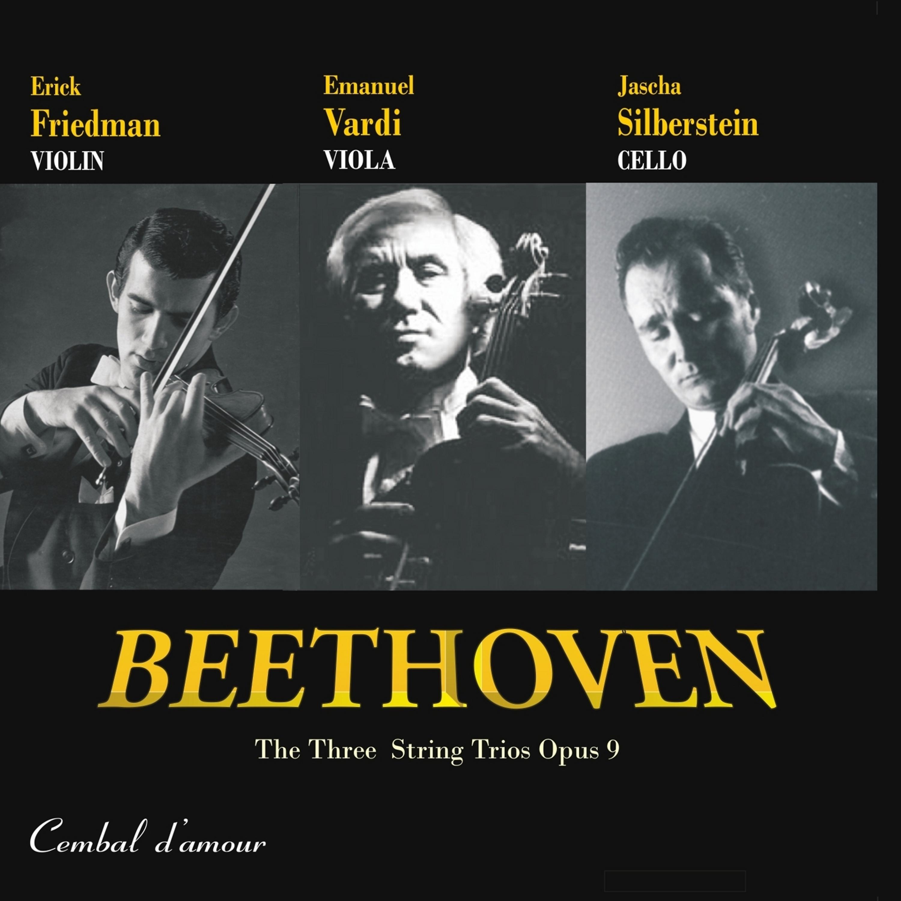 Постер альбома Ludwig van Beethoven: The Three String Trios, Opus 9