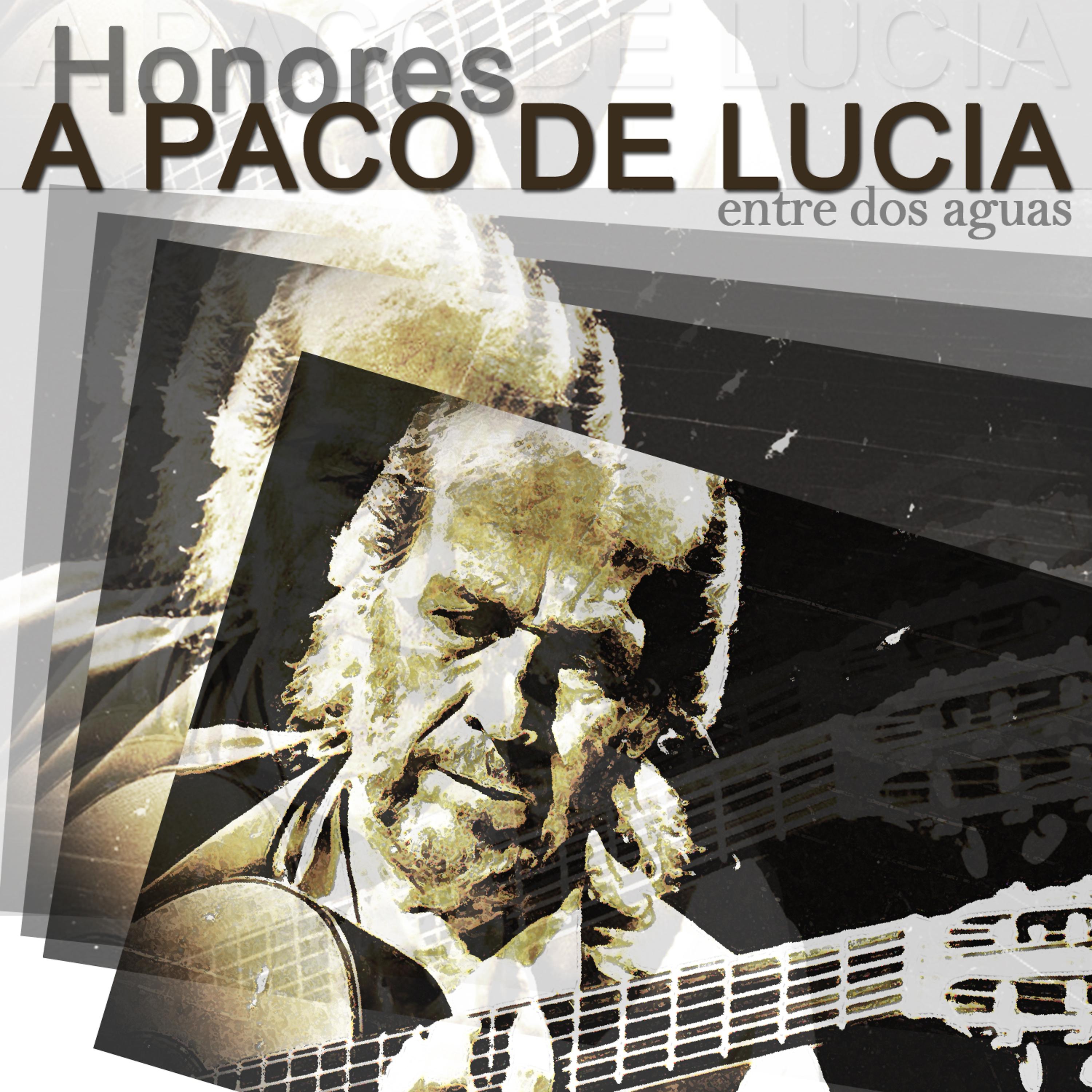 Постер альбома Homenaje a Paco de Lucia